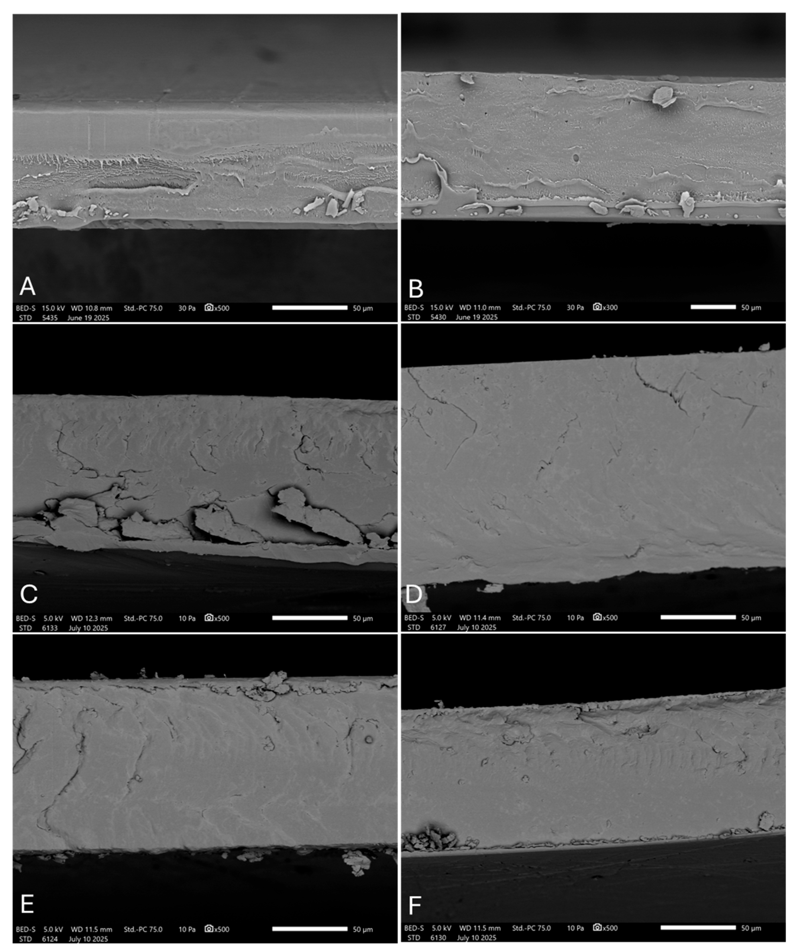 Preprints 203910 g006
