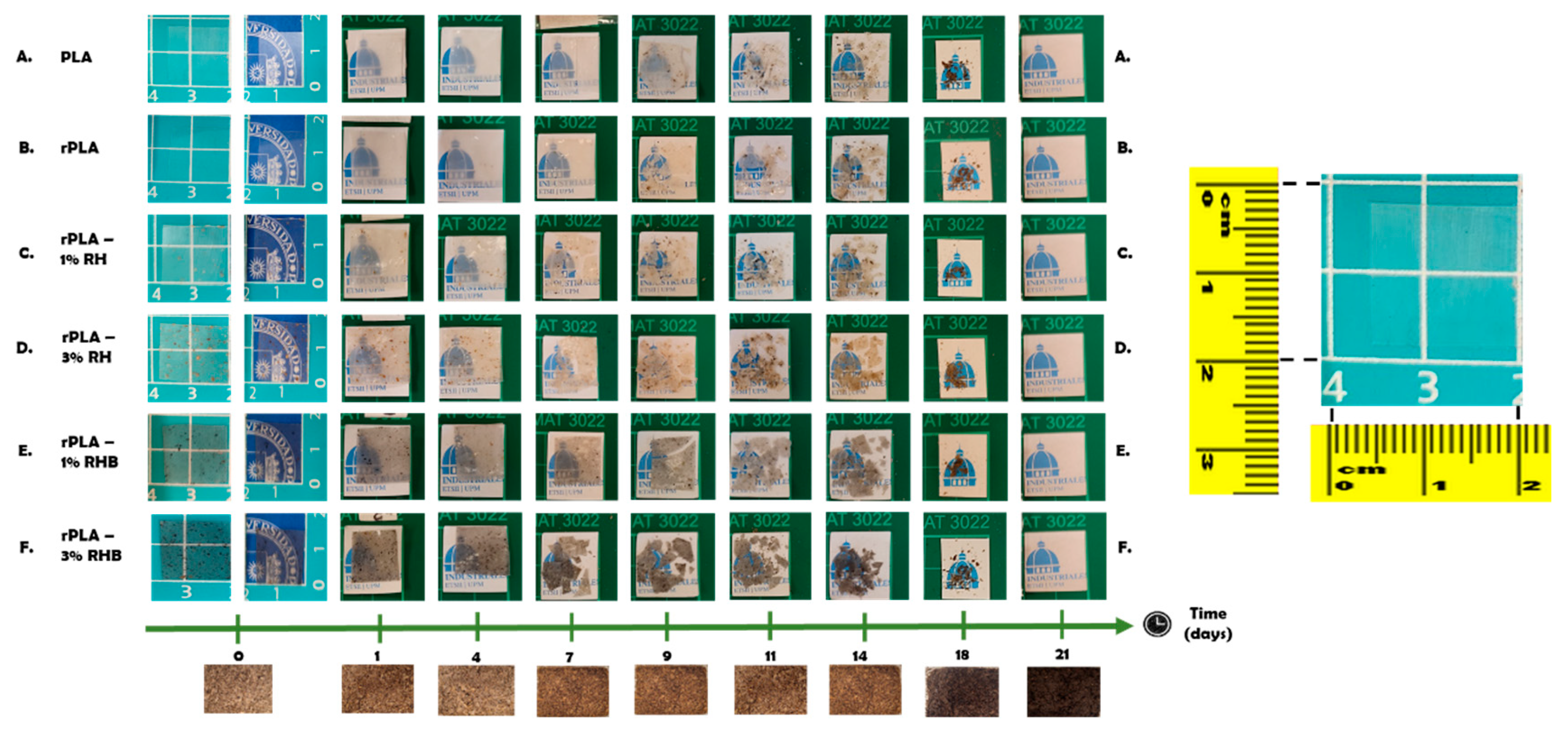 Preprints 203910 g013