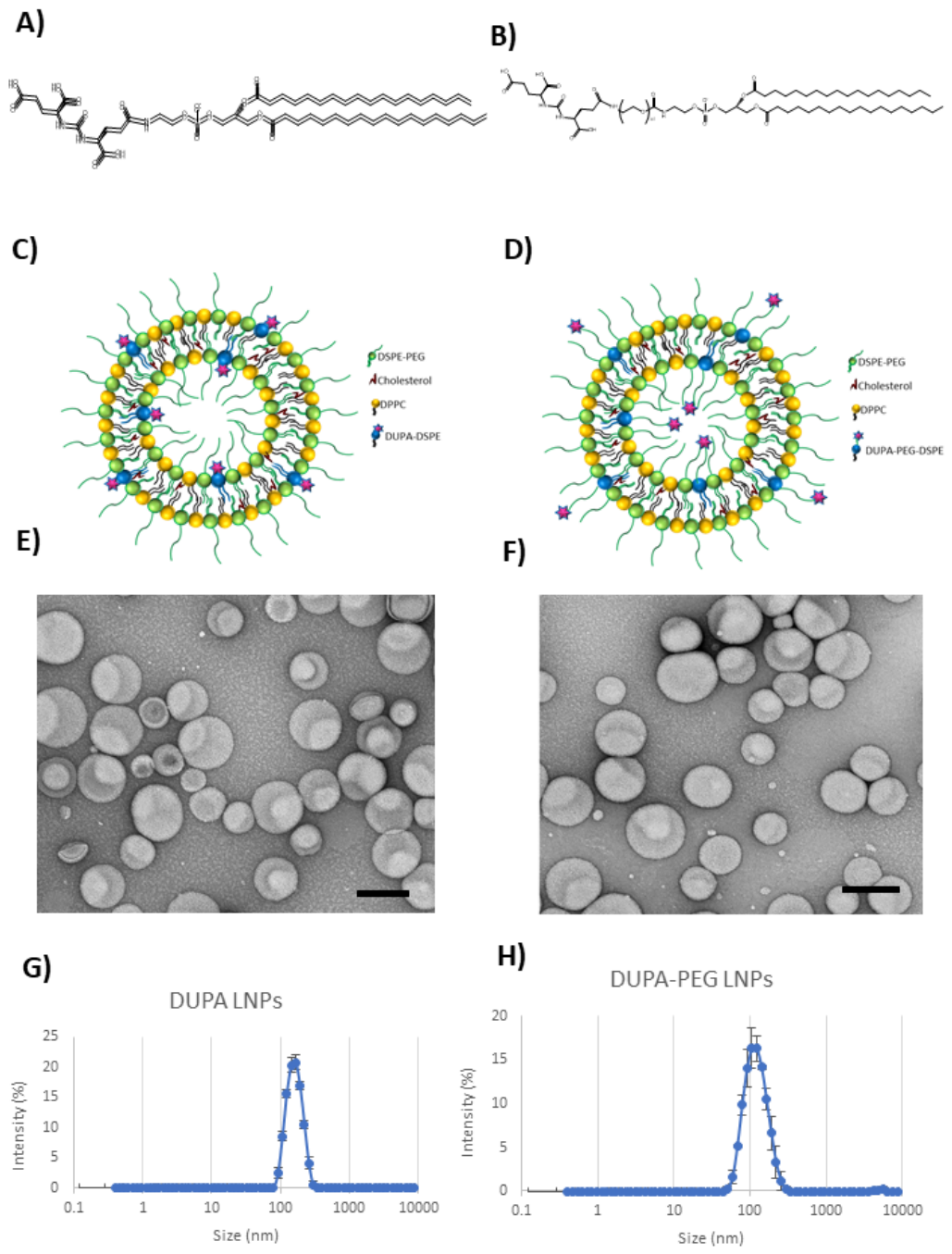 Preprints 221692 g001