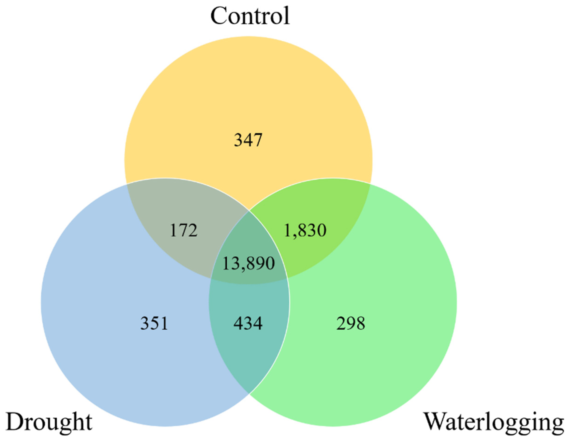 Preprints 182478 g001