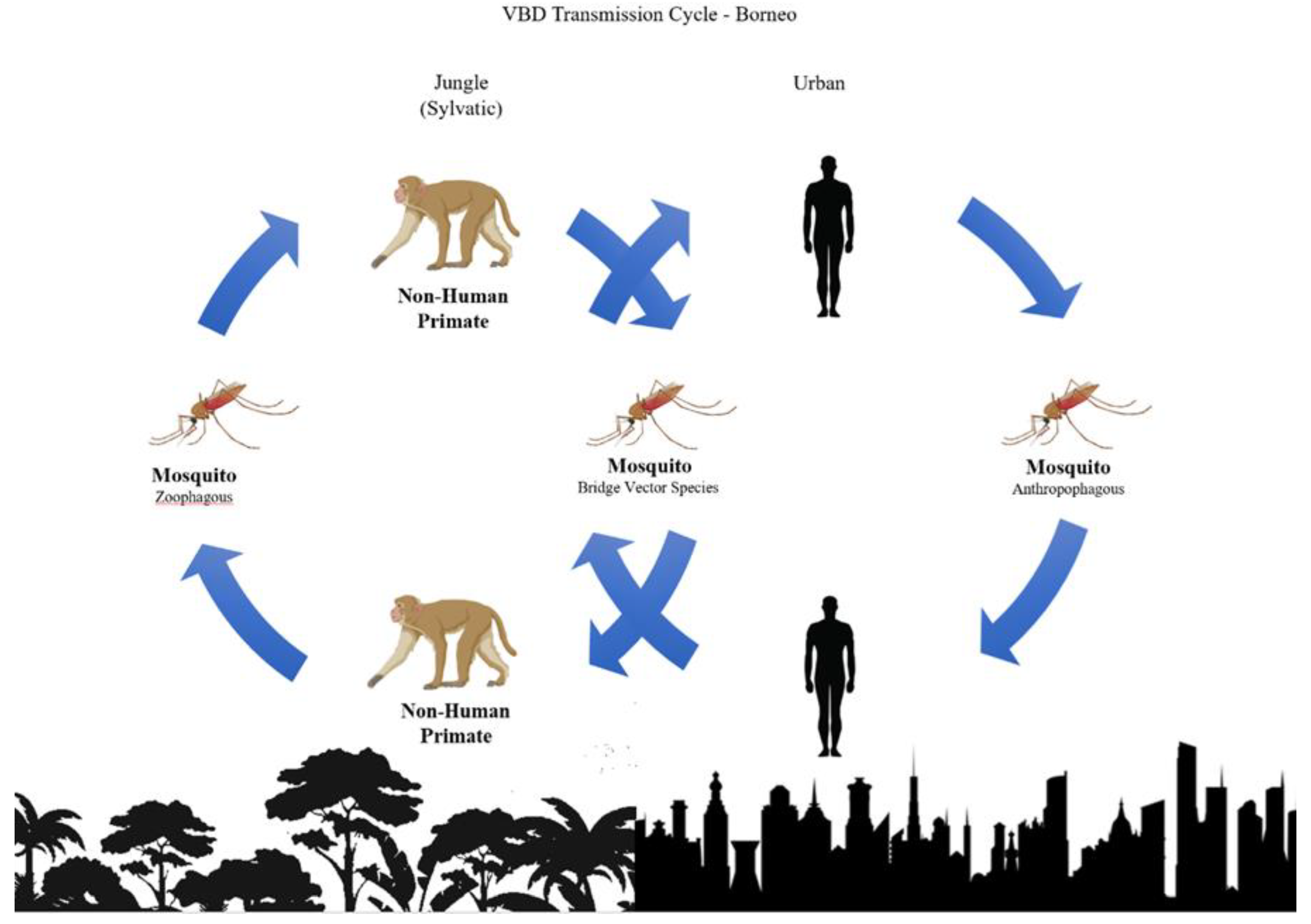 Preprints 144791 g001