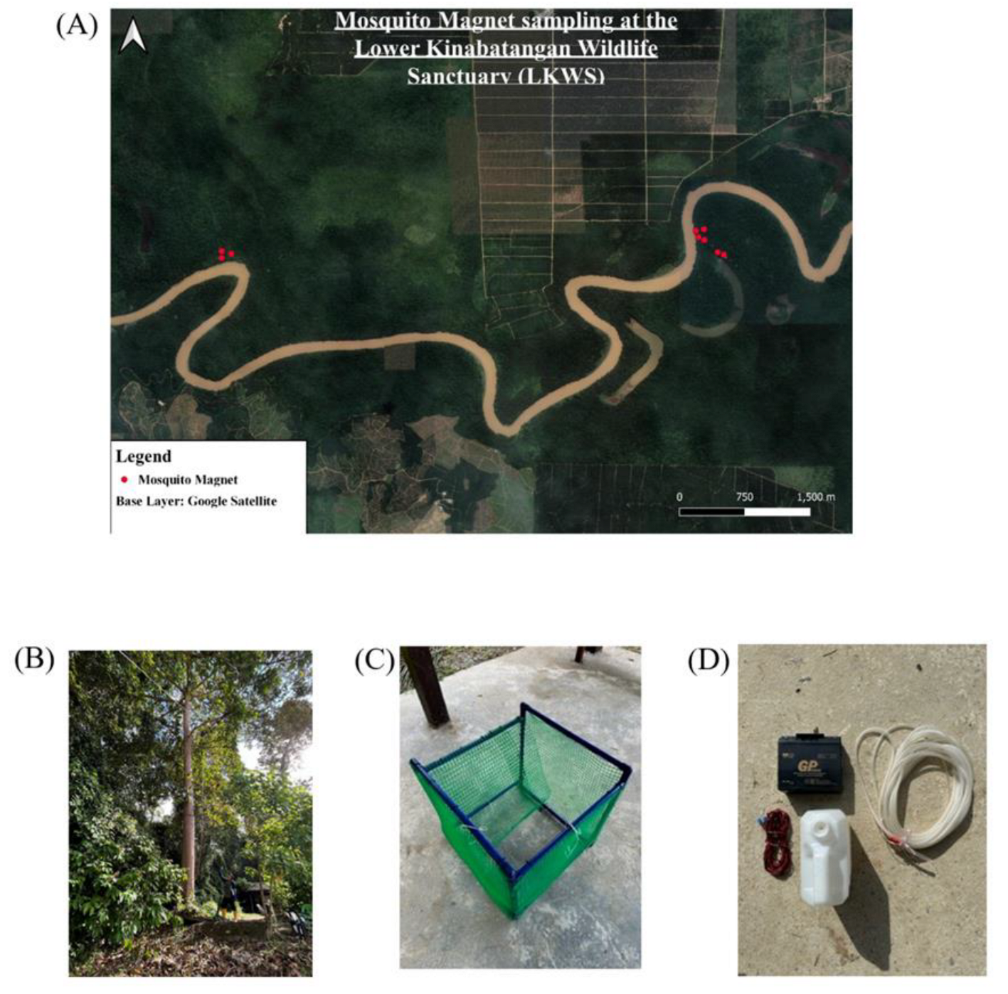 Preprints 144791 g004