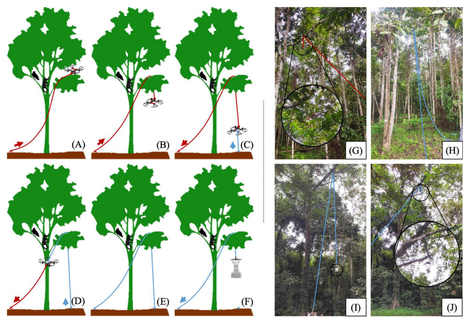 Preprints 144791 g005