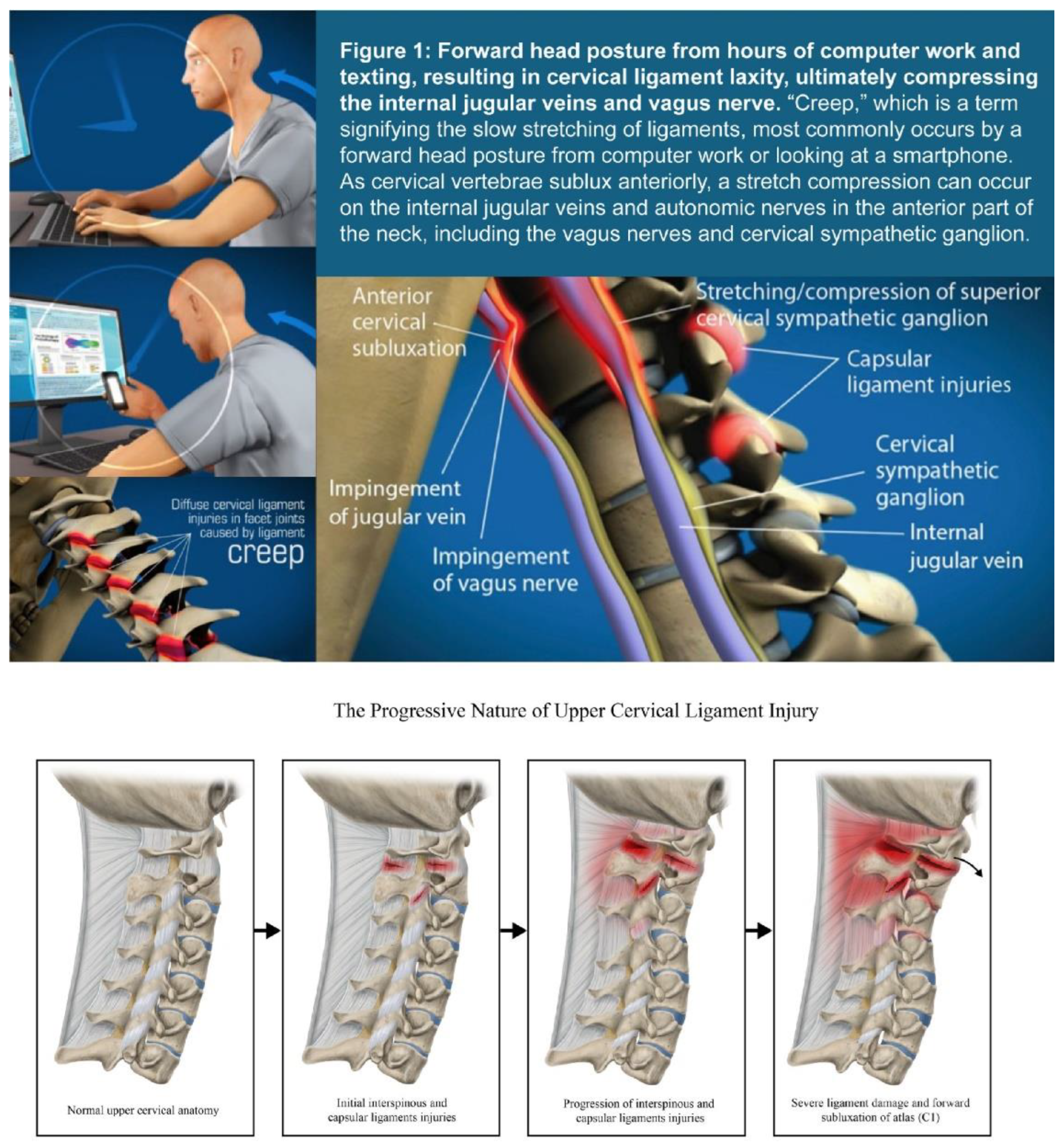Preprints 156081 g001