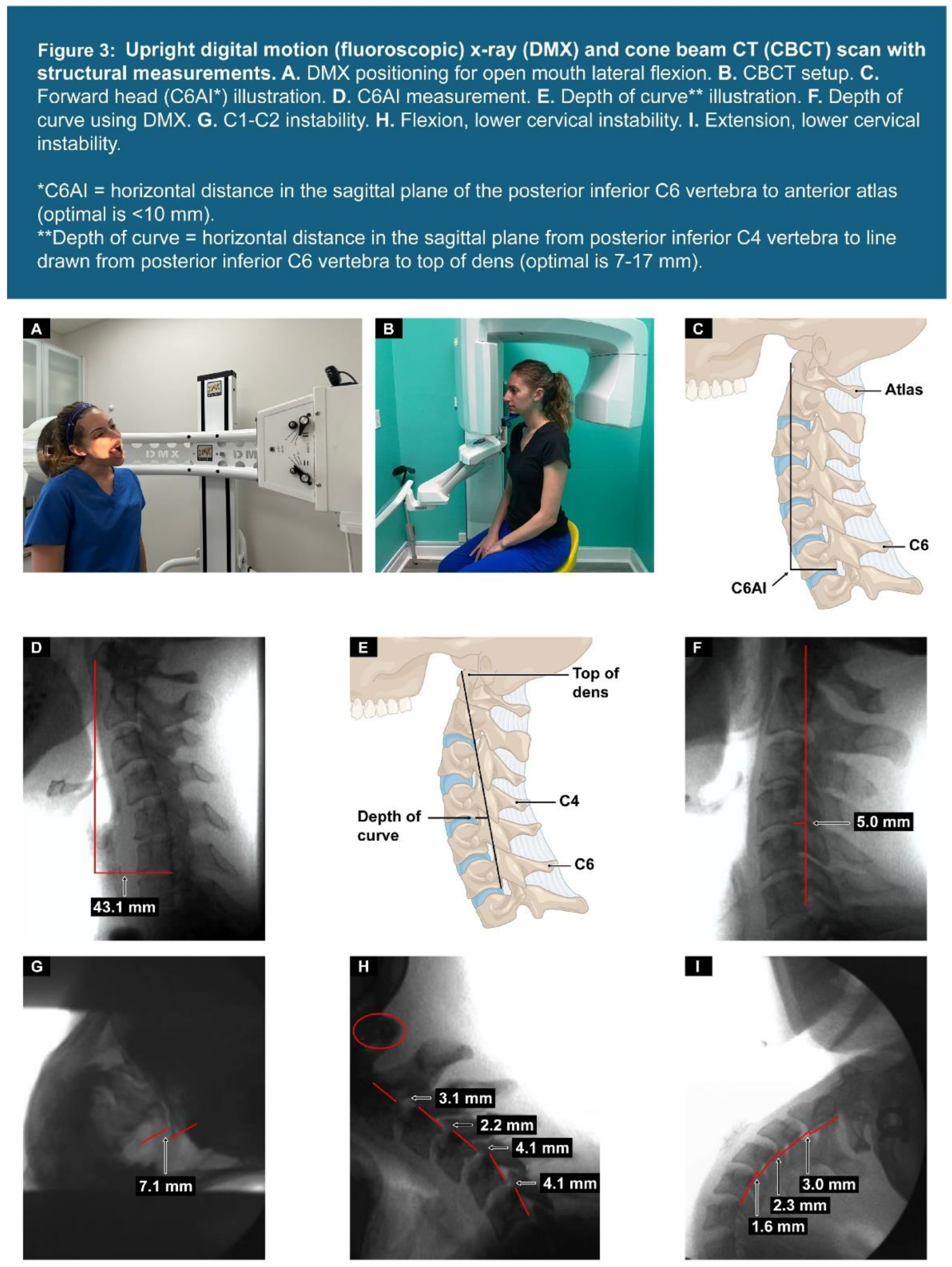 Preprints 156081 g003