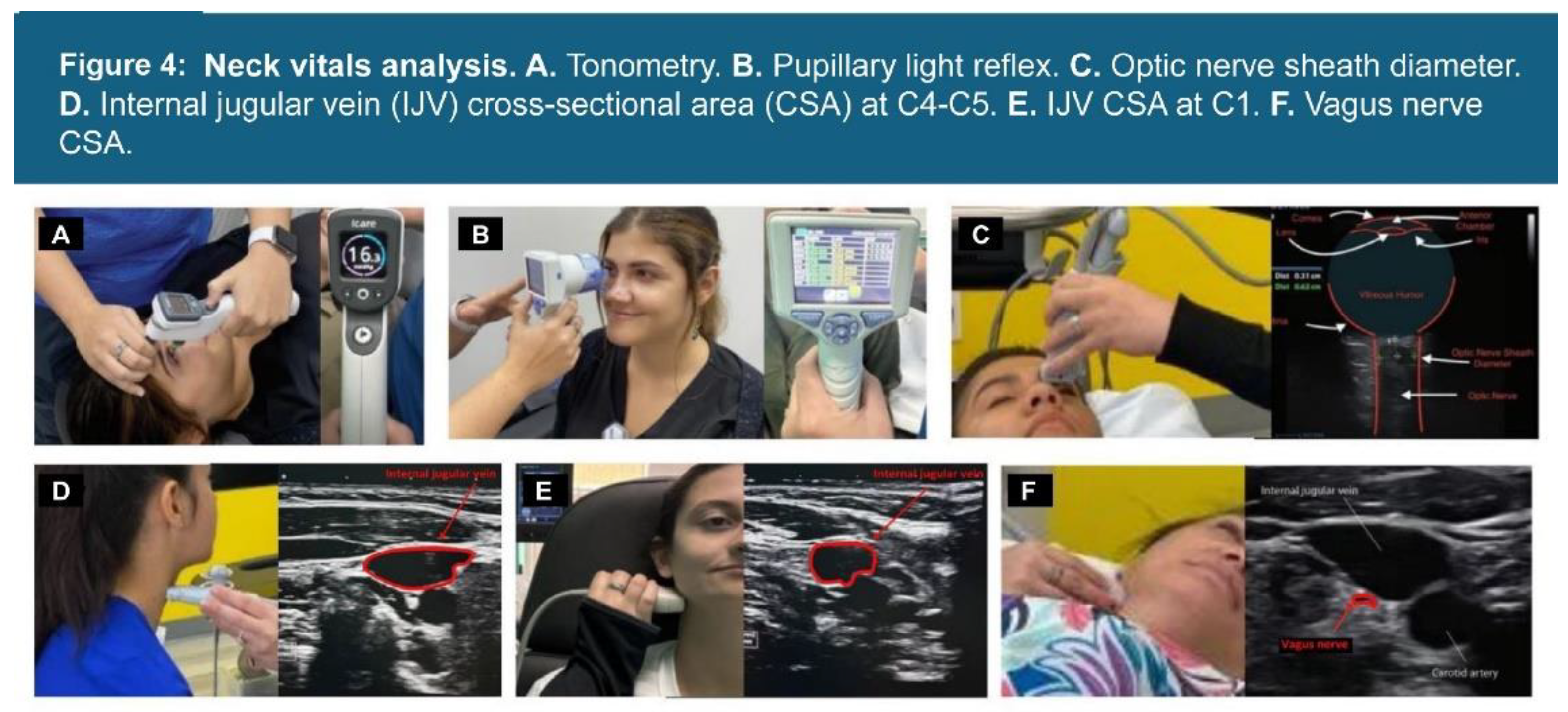 Preprints 156081 g004