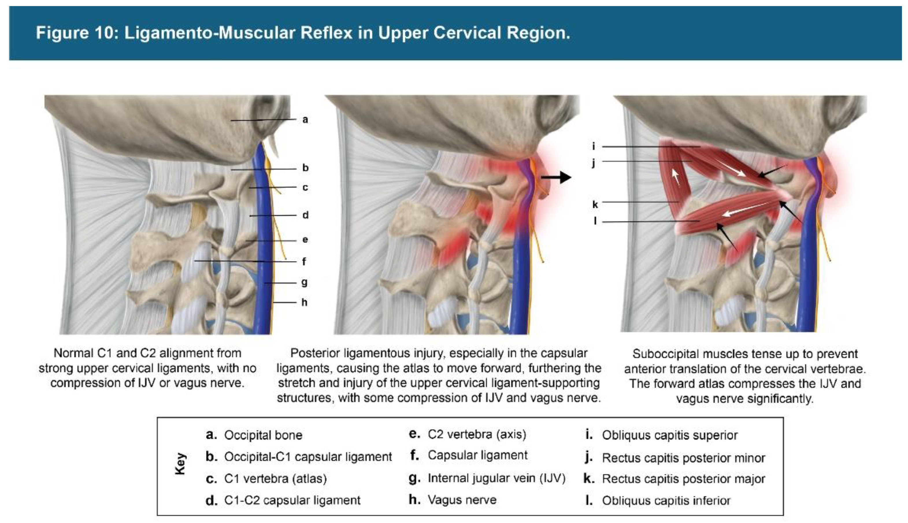 Preprints 156081 g010