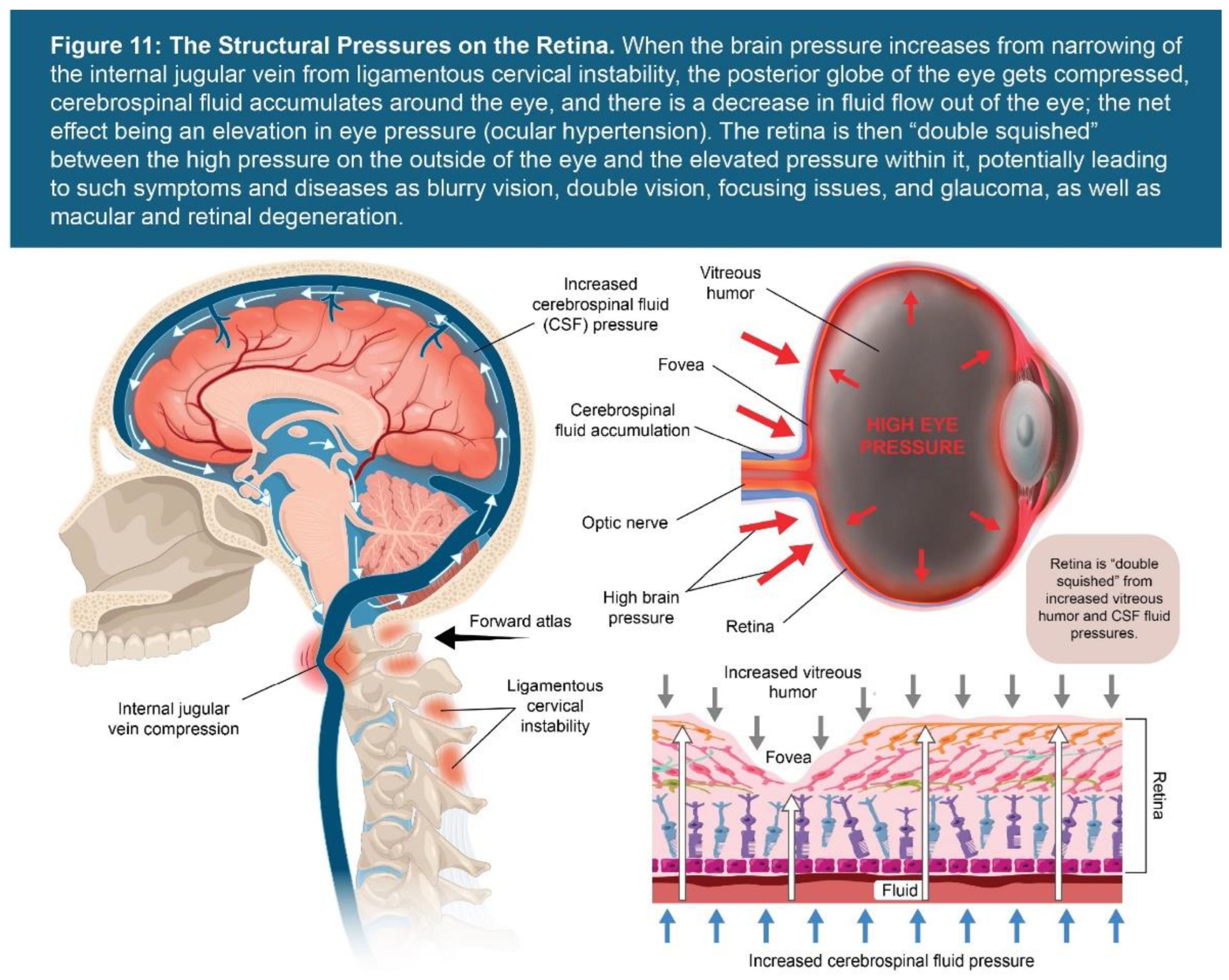 Preprints 156081 g011