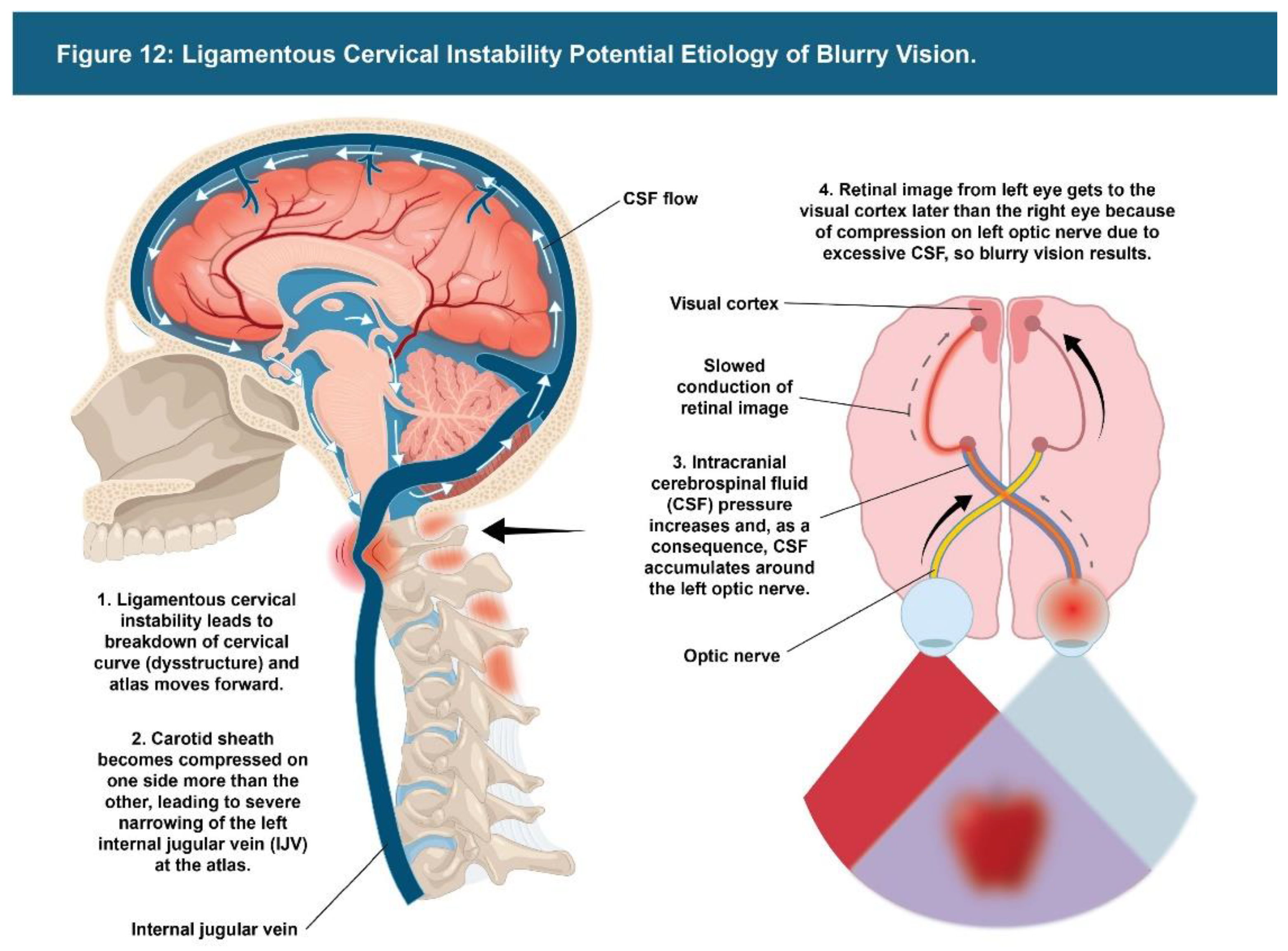 Preprints 156081 g012