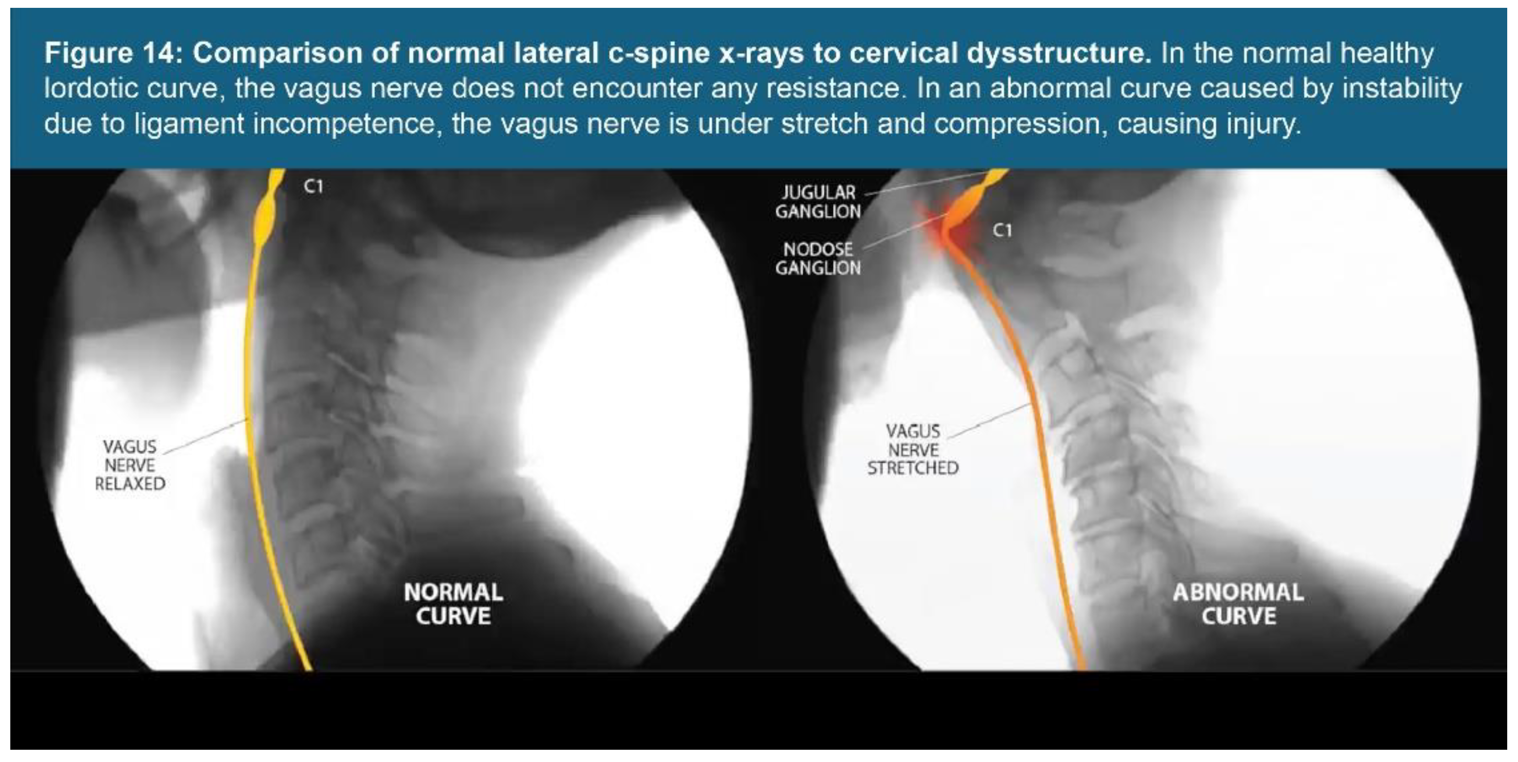 Preprints 156081 g014