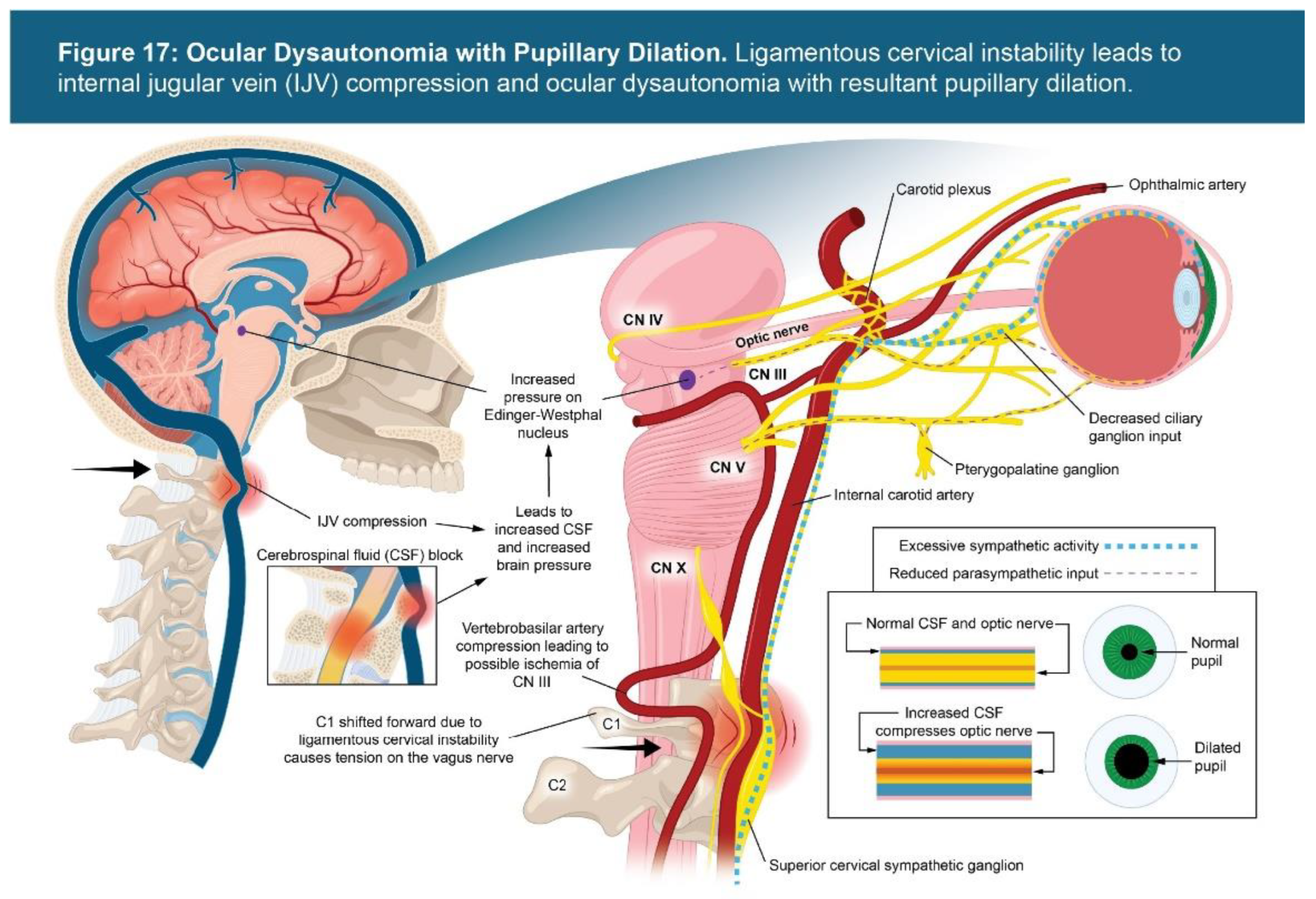 Preprints 156081 g017