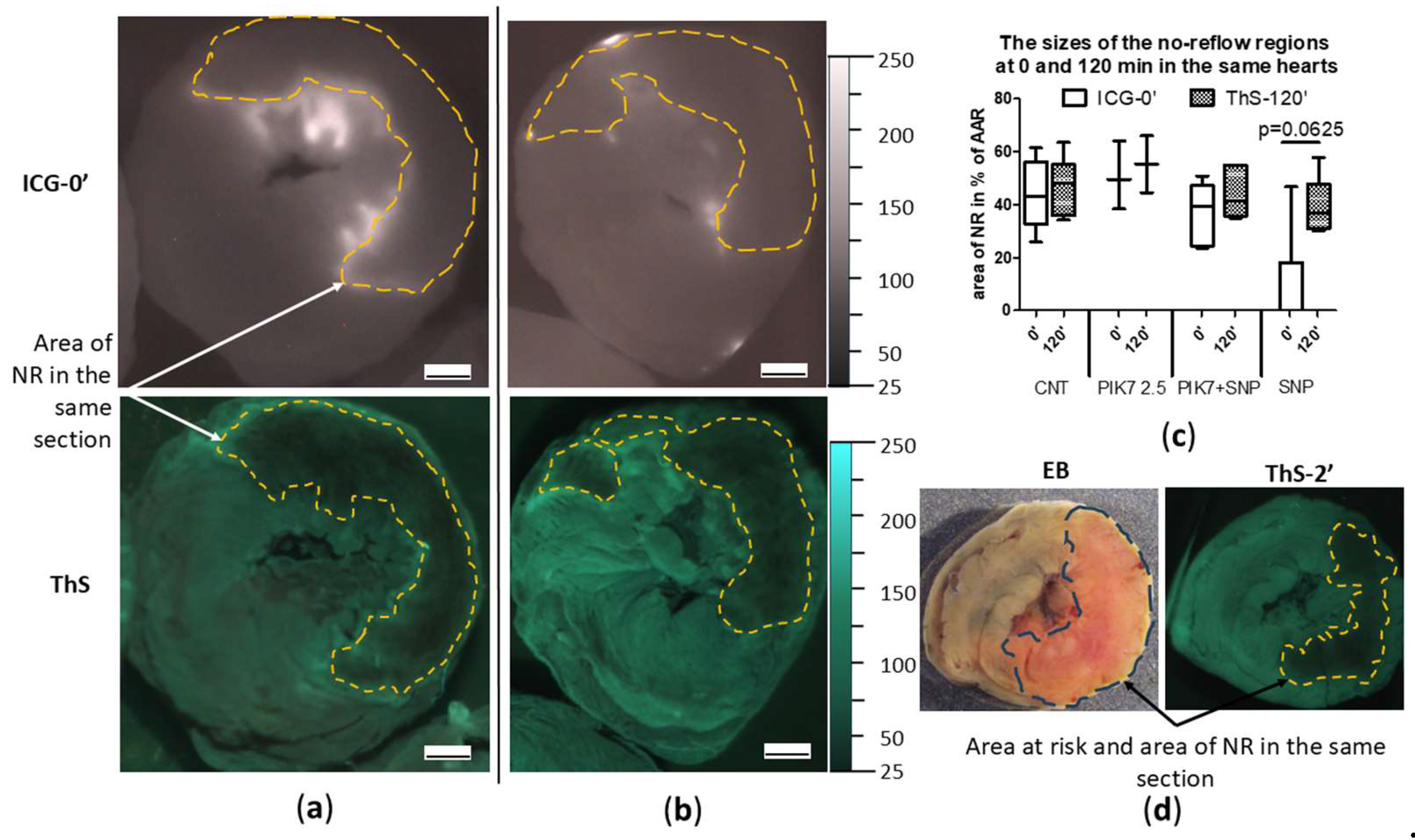 Preprints 142821 g007