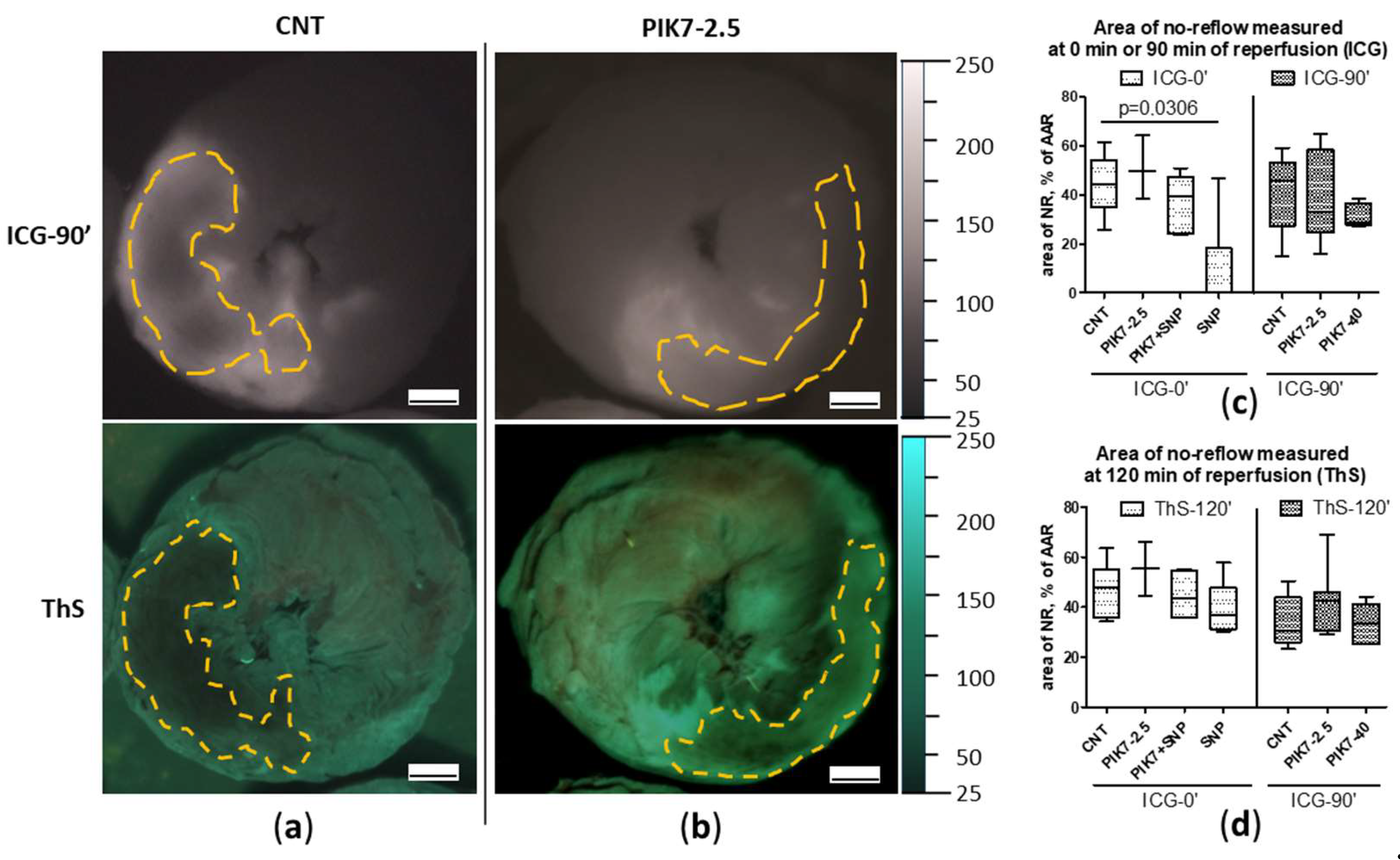 Preprints 142821 g008