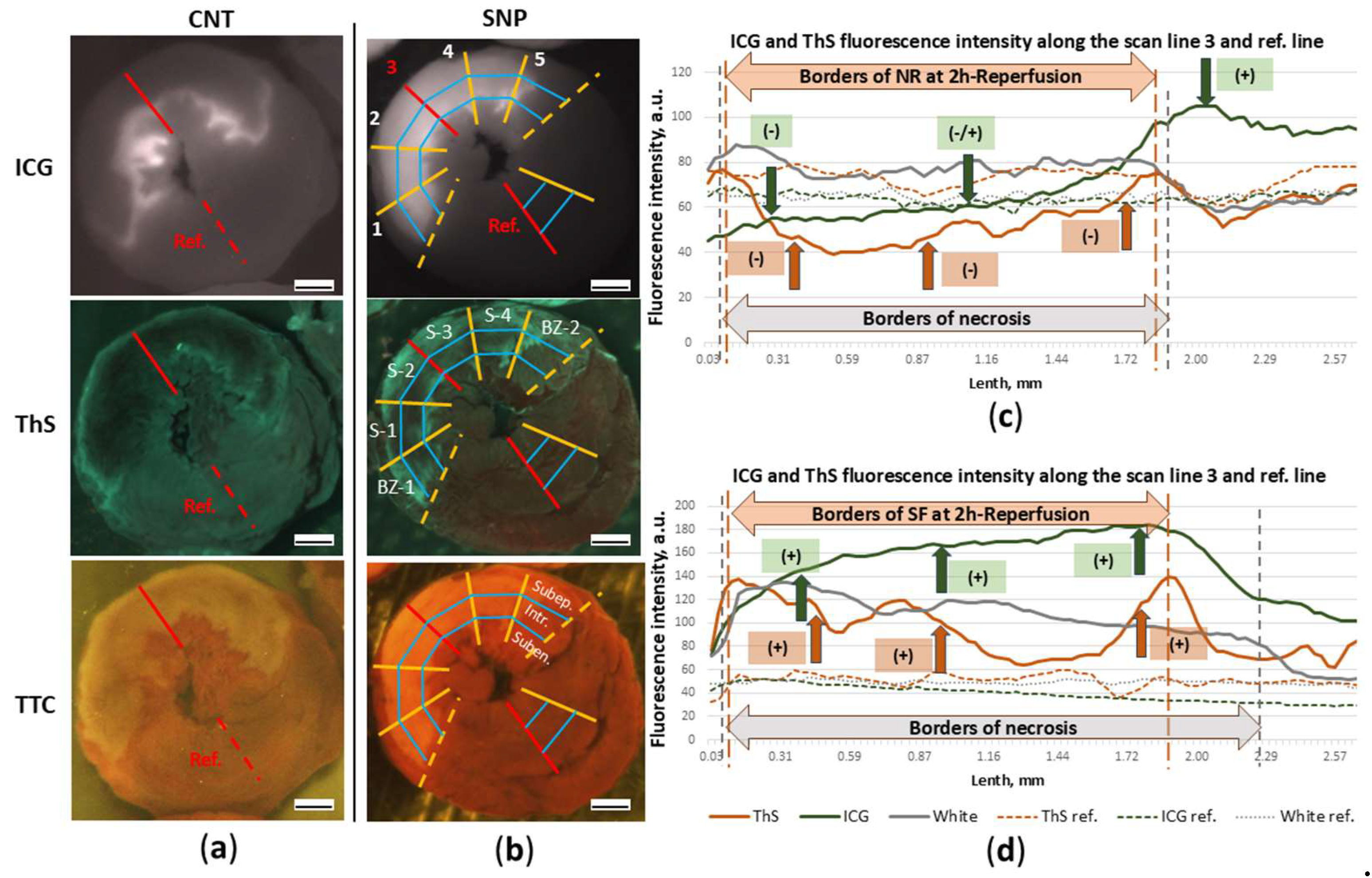 Preprints 142821 g009