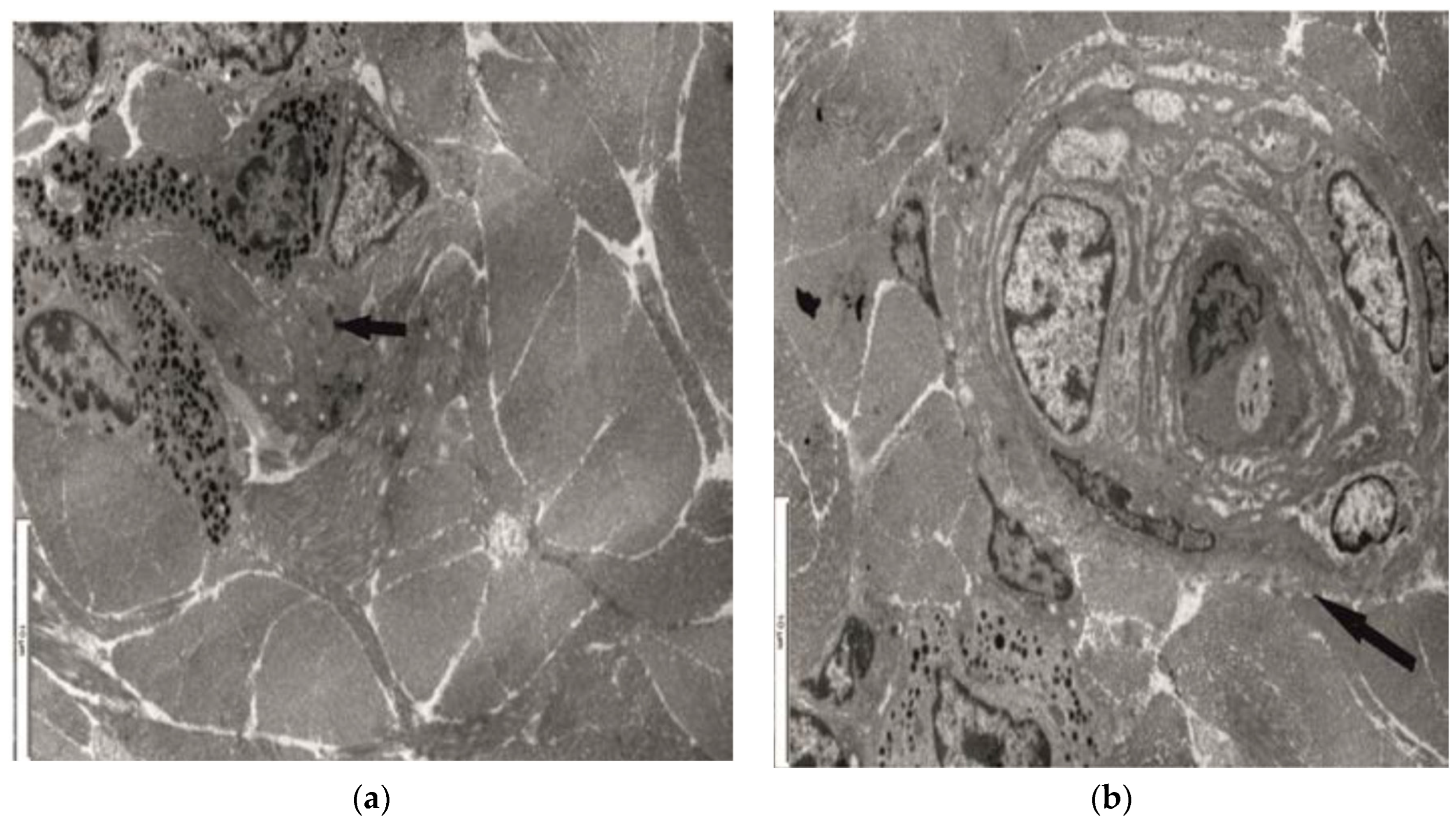 Preprints 98569 g006