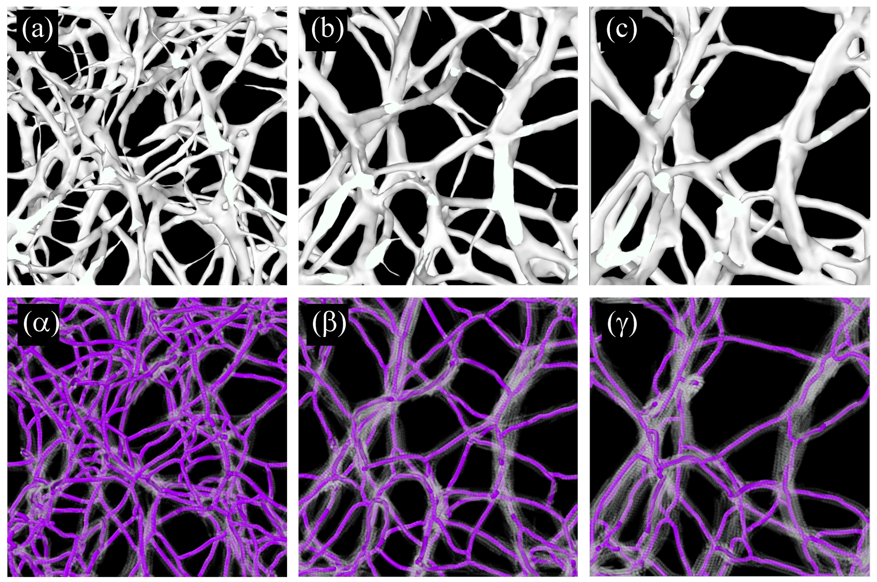 Preprints 142839 g011