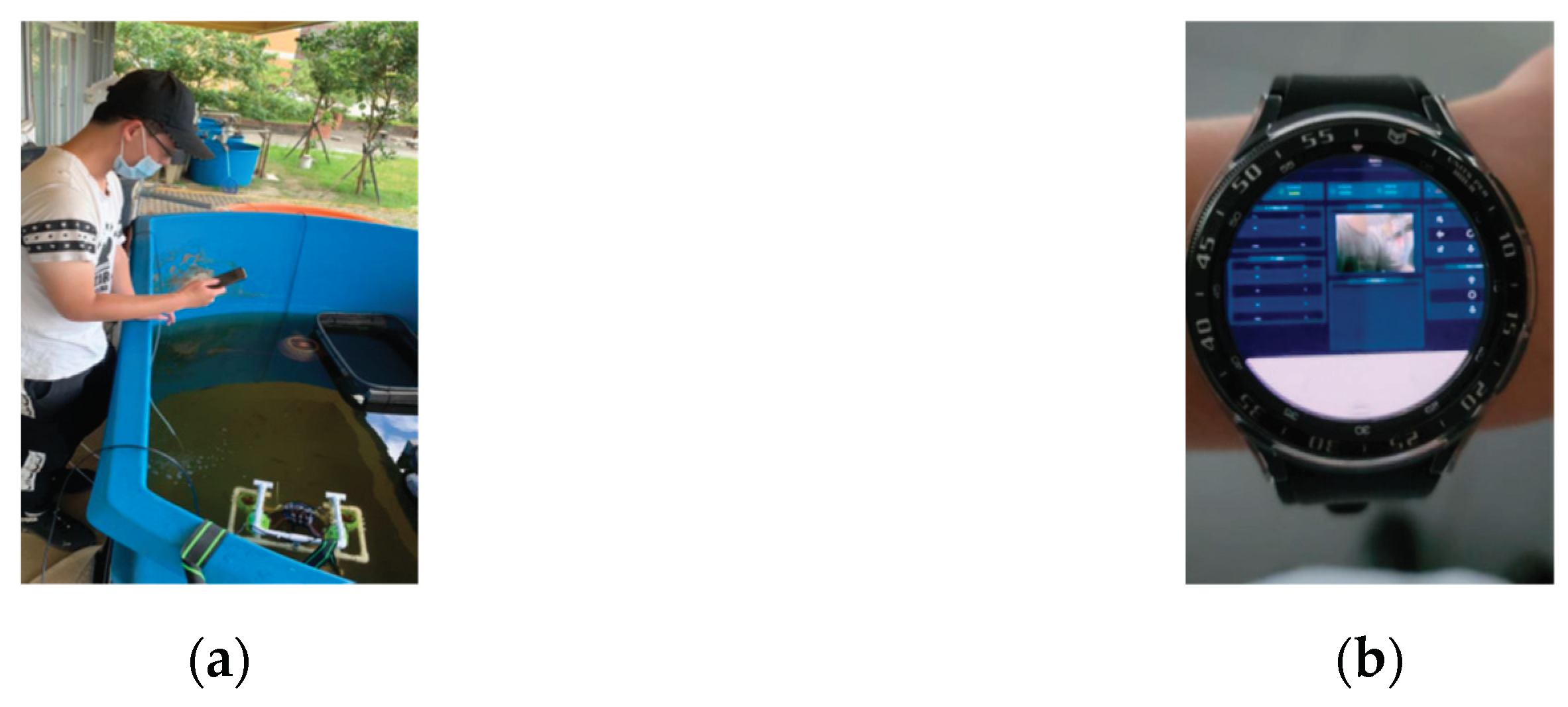 Preprints 159034 g007