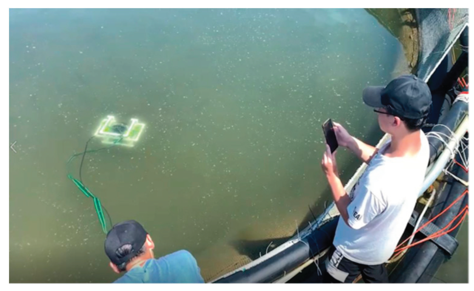 Preprints 159034 g008