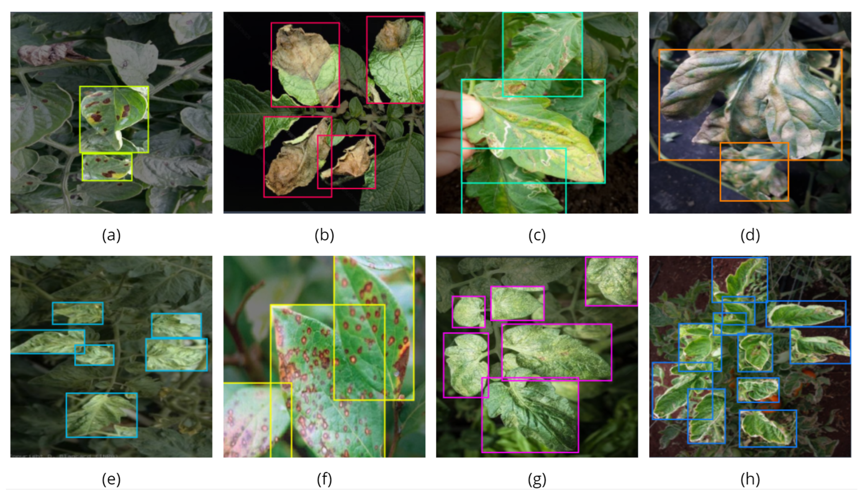 Preprints 180769 g018