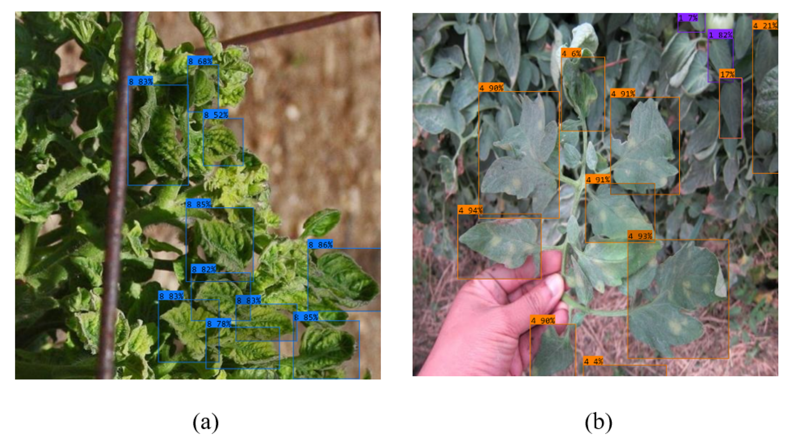 Preprints 180769 g019
