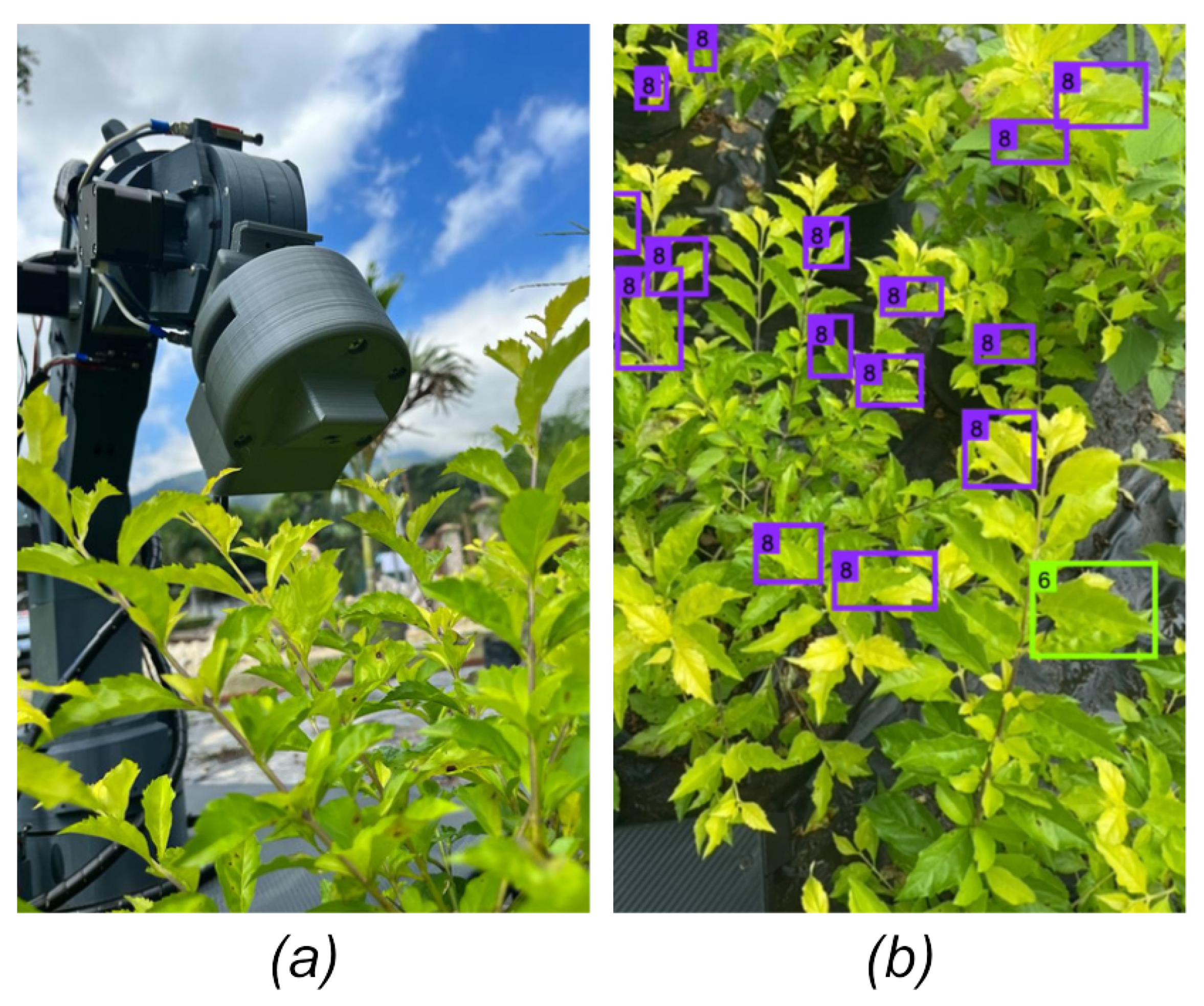 Preprints 180769 g028