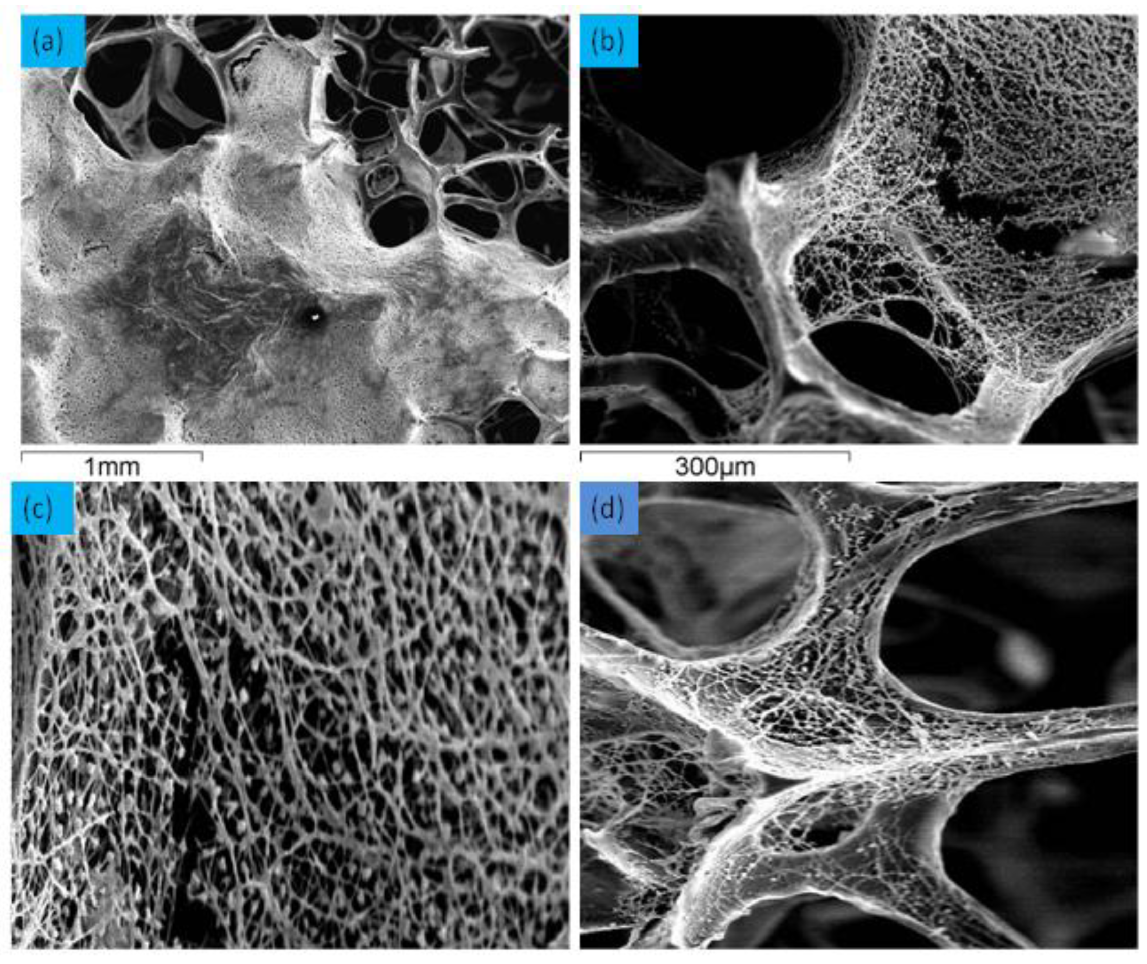 Preprints 187722 g007