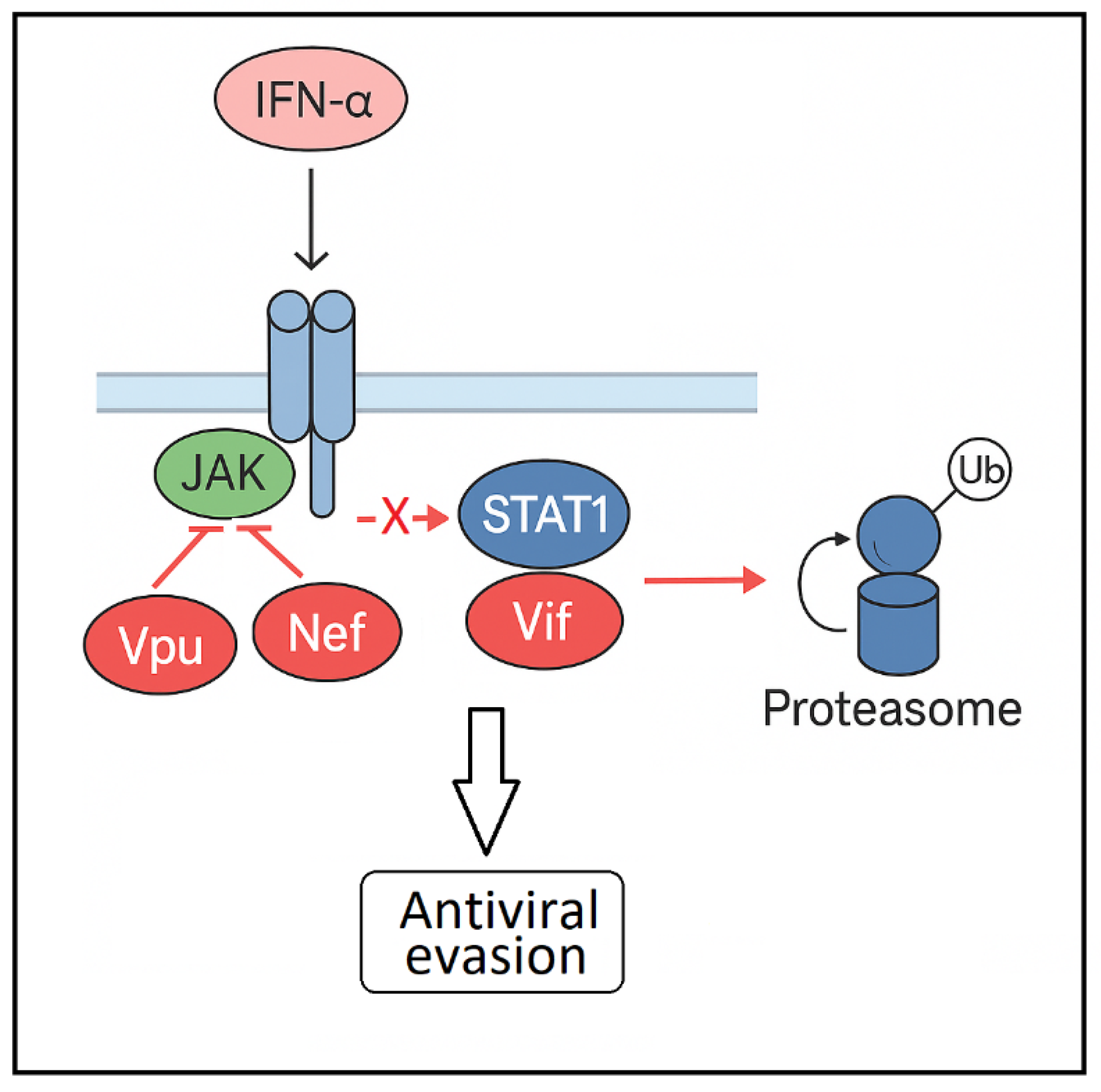 Preprints 174201 g002