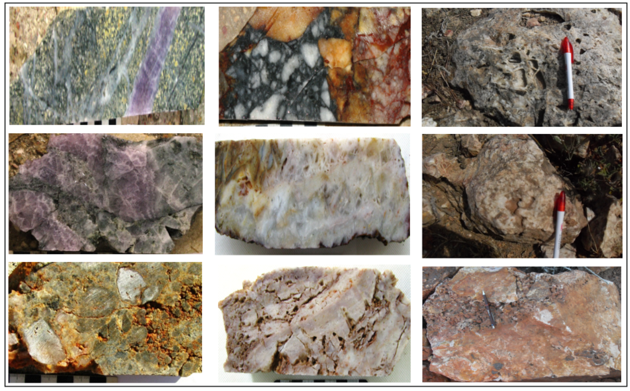 Preprints 94523 g005