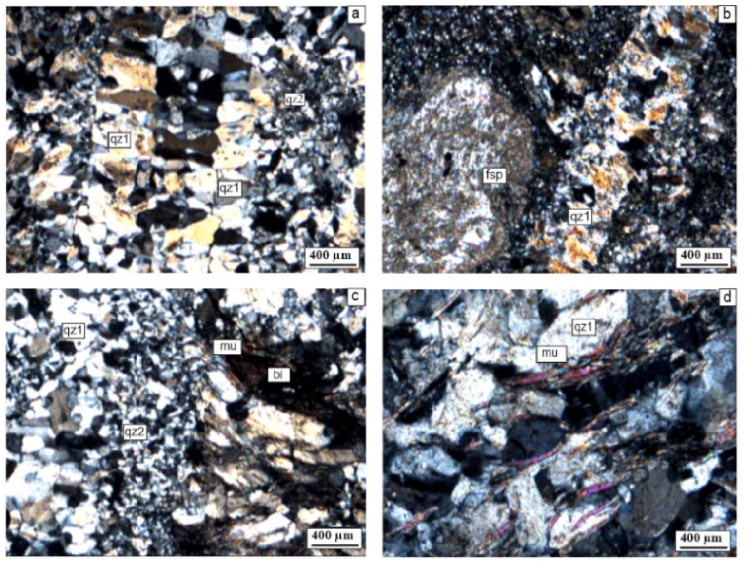 Preprints 94523 g006a