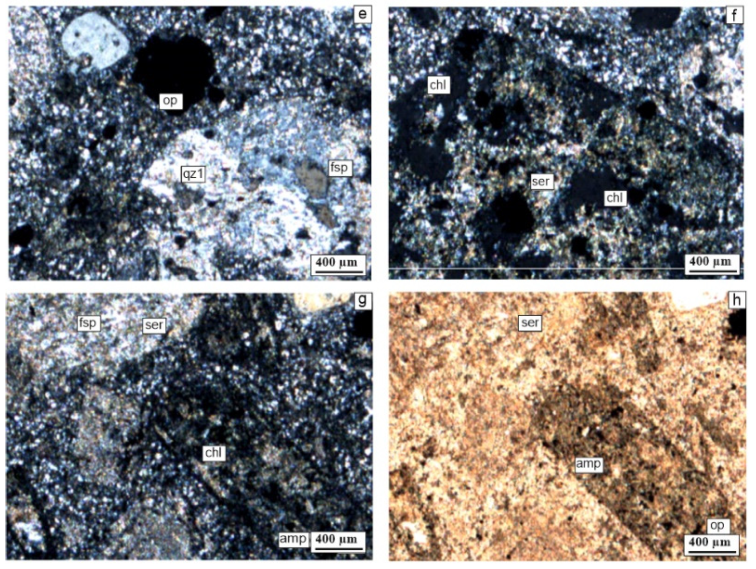 Preprints 94523 g006b