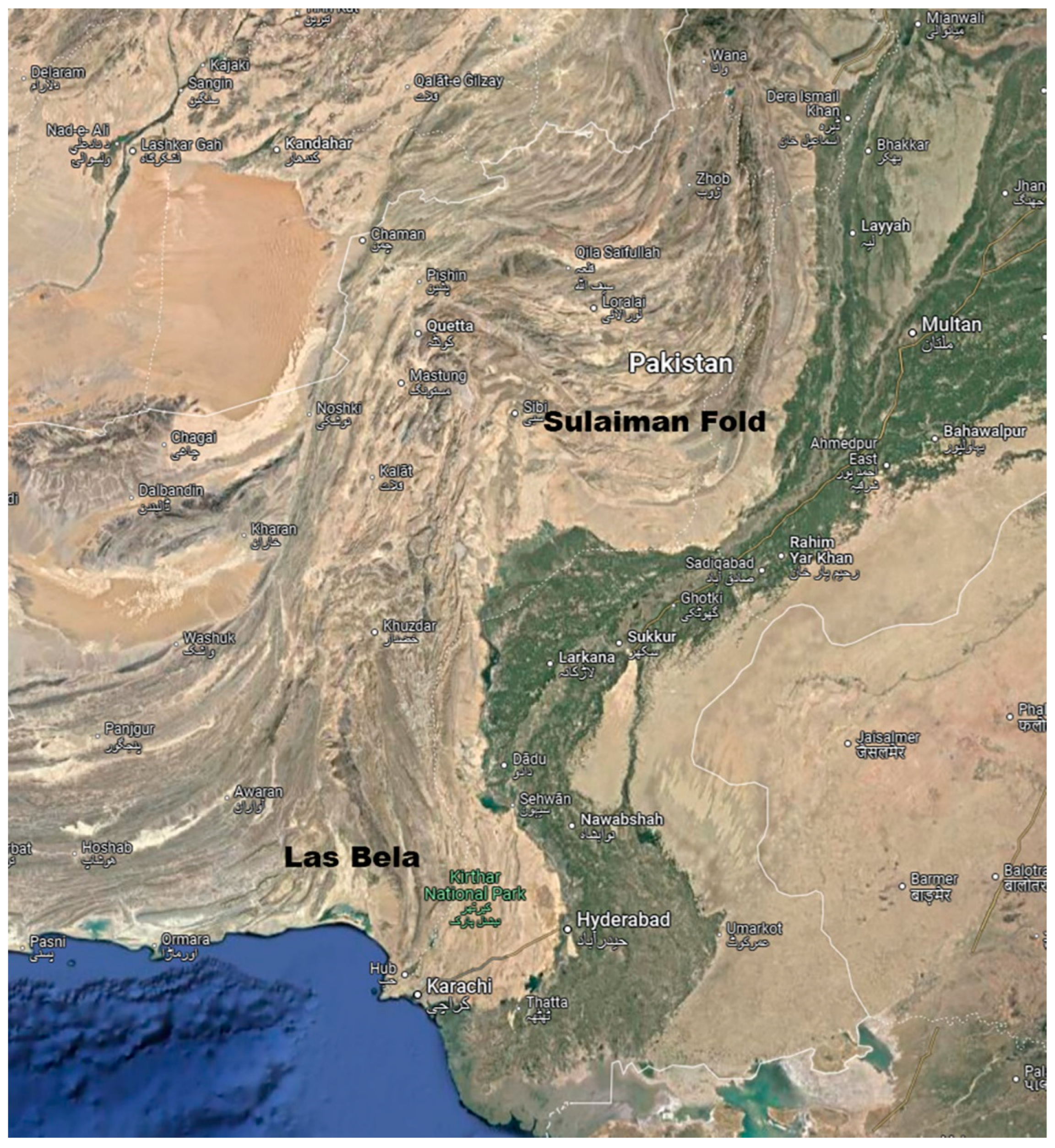 Preprints 158114 g004