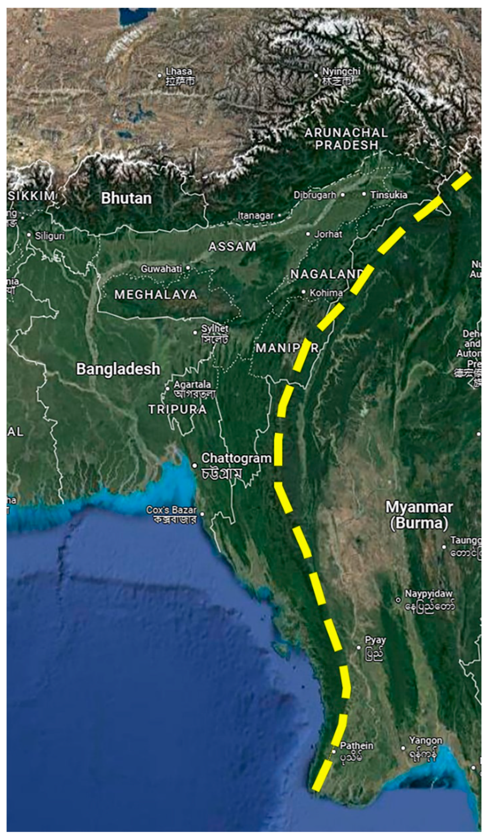 Preprints 158114 g005