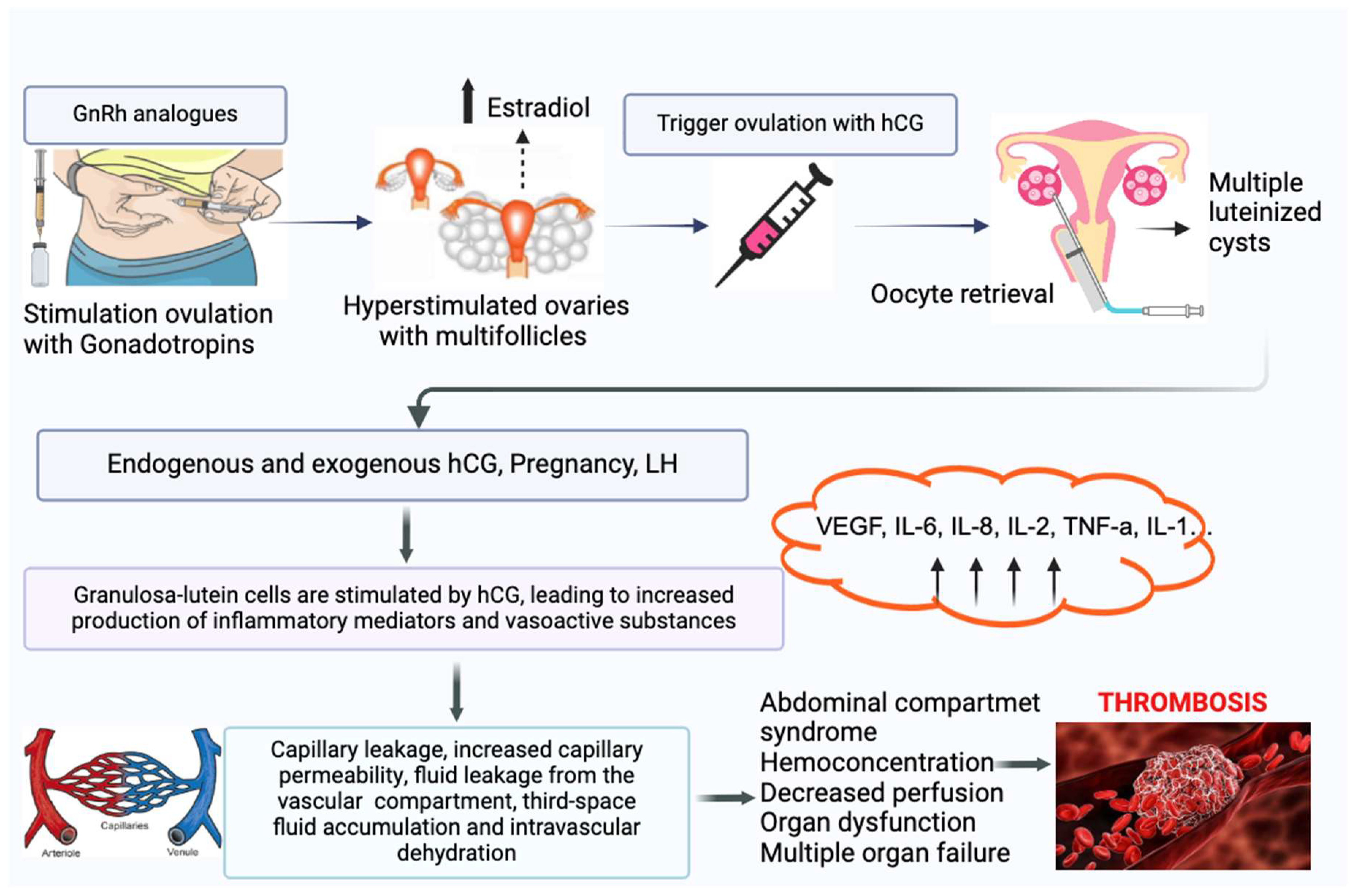 Preprints 143461 g001