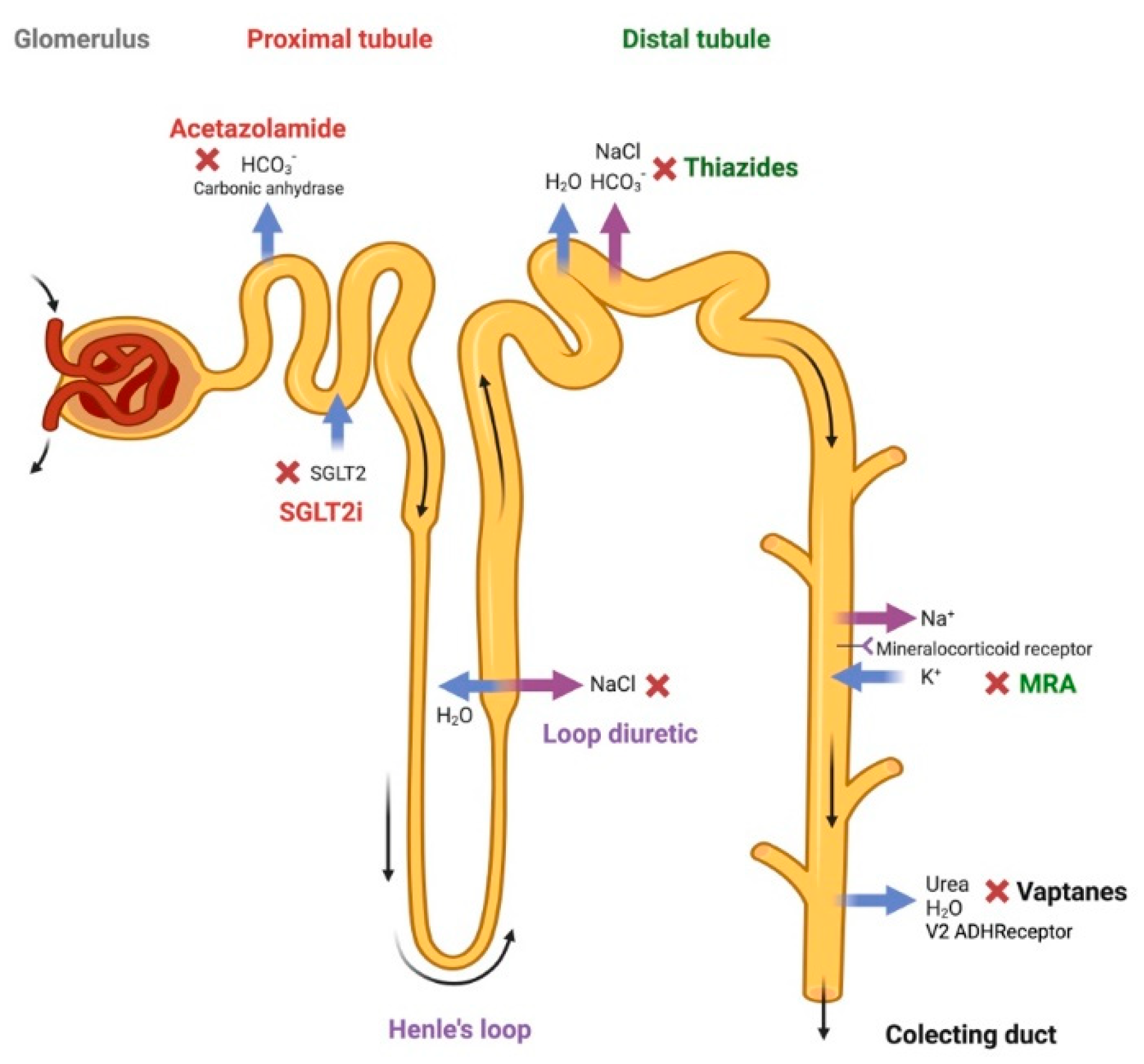 Preprints 157085 g002