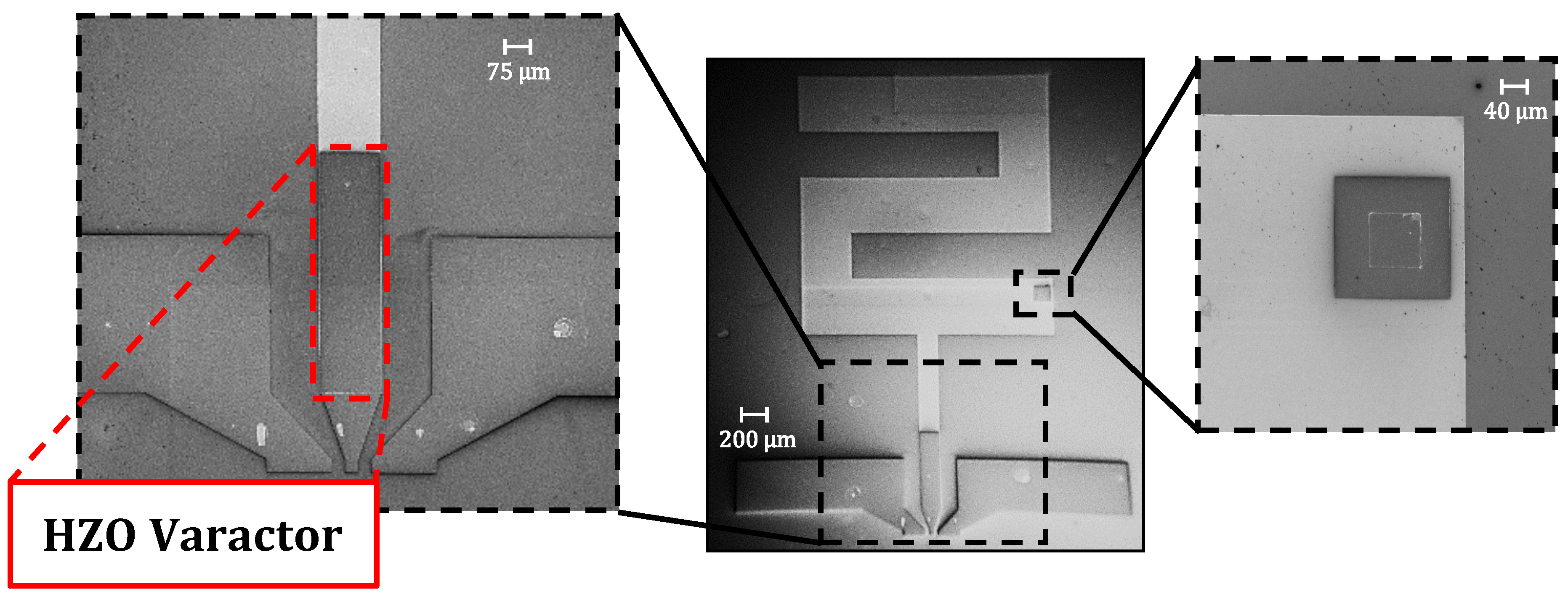 Preprints 193381 g004