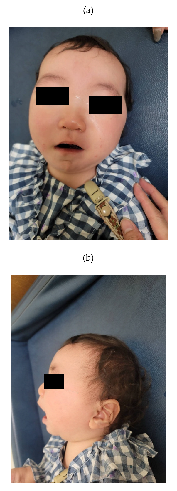 Preprints 173878 g001