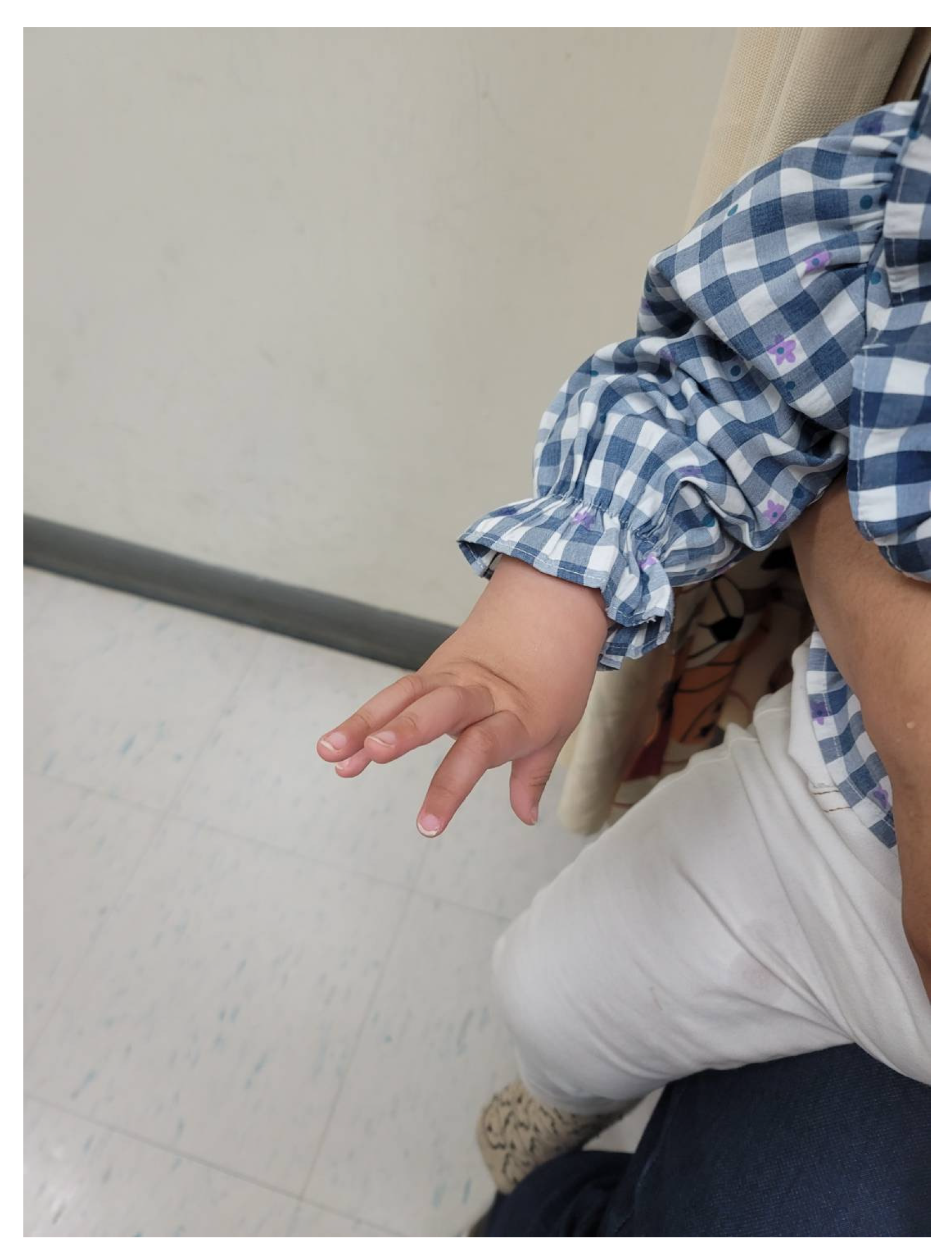 Preprints 173878 g002