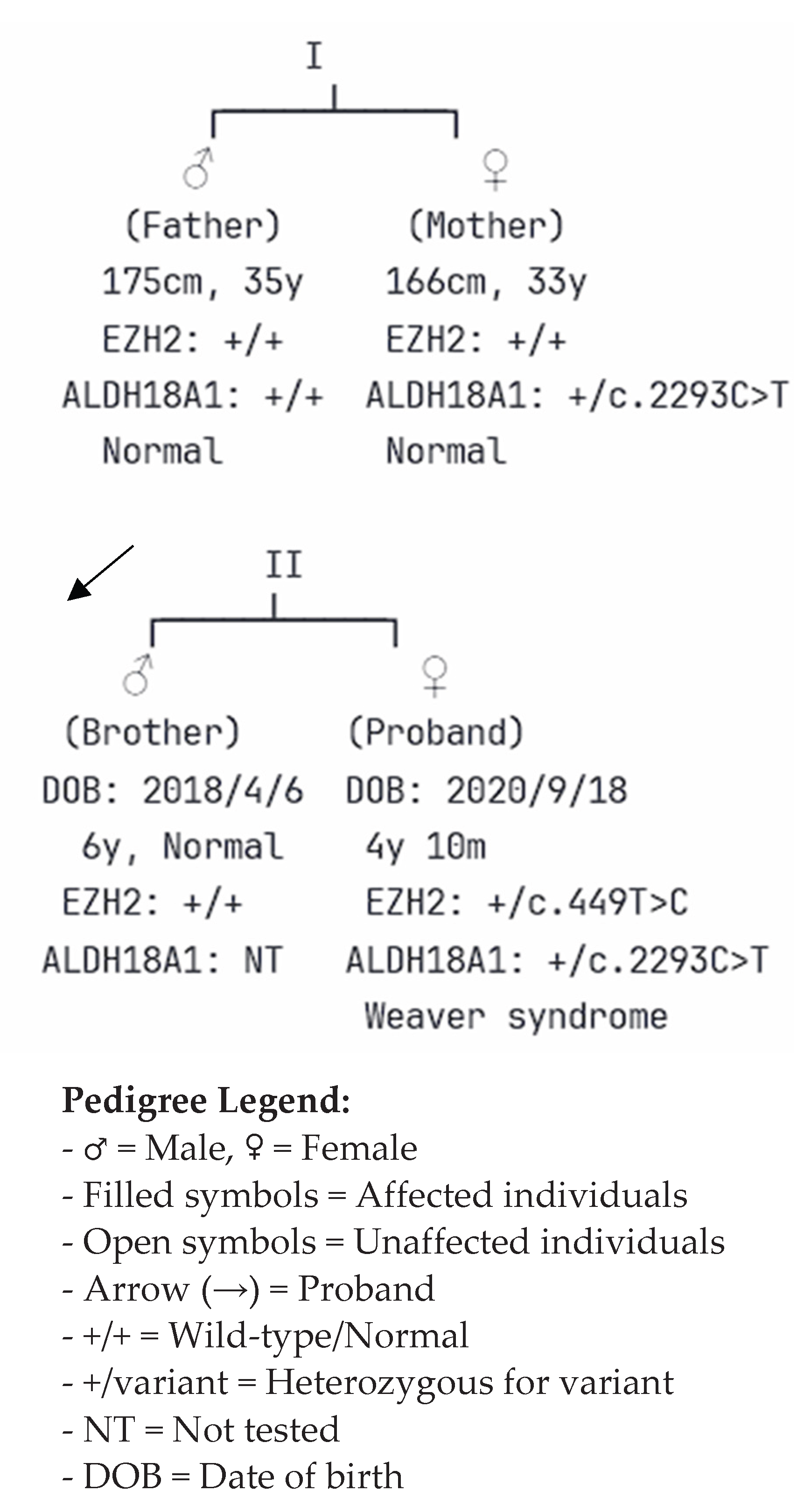 Preprints 173878 g003