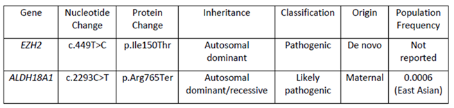 Preprints 173878 i001