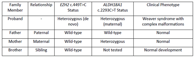 Preprints 173878 i002