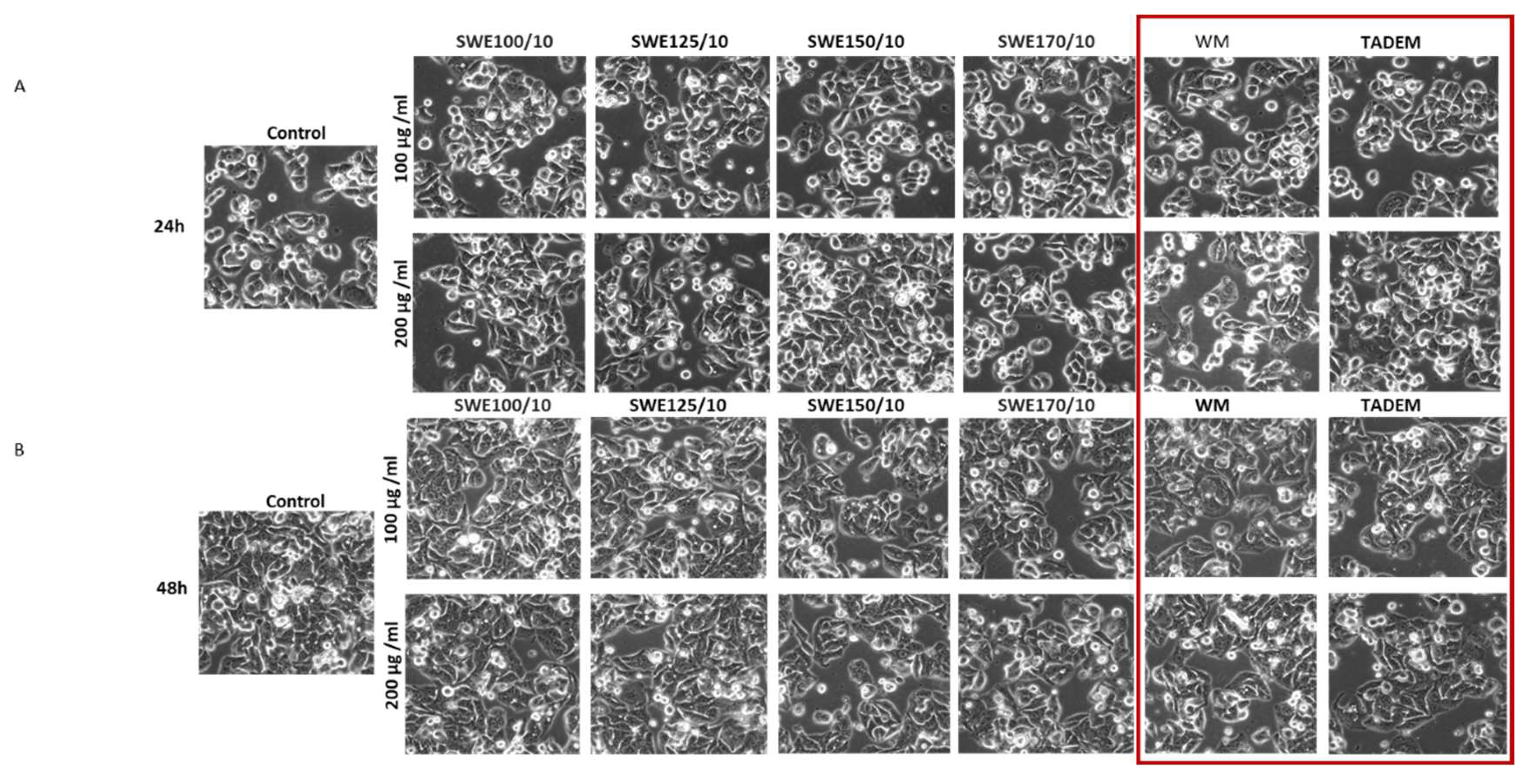 Preprints 216584 g004