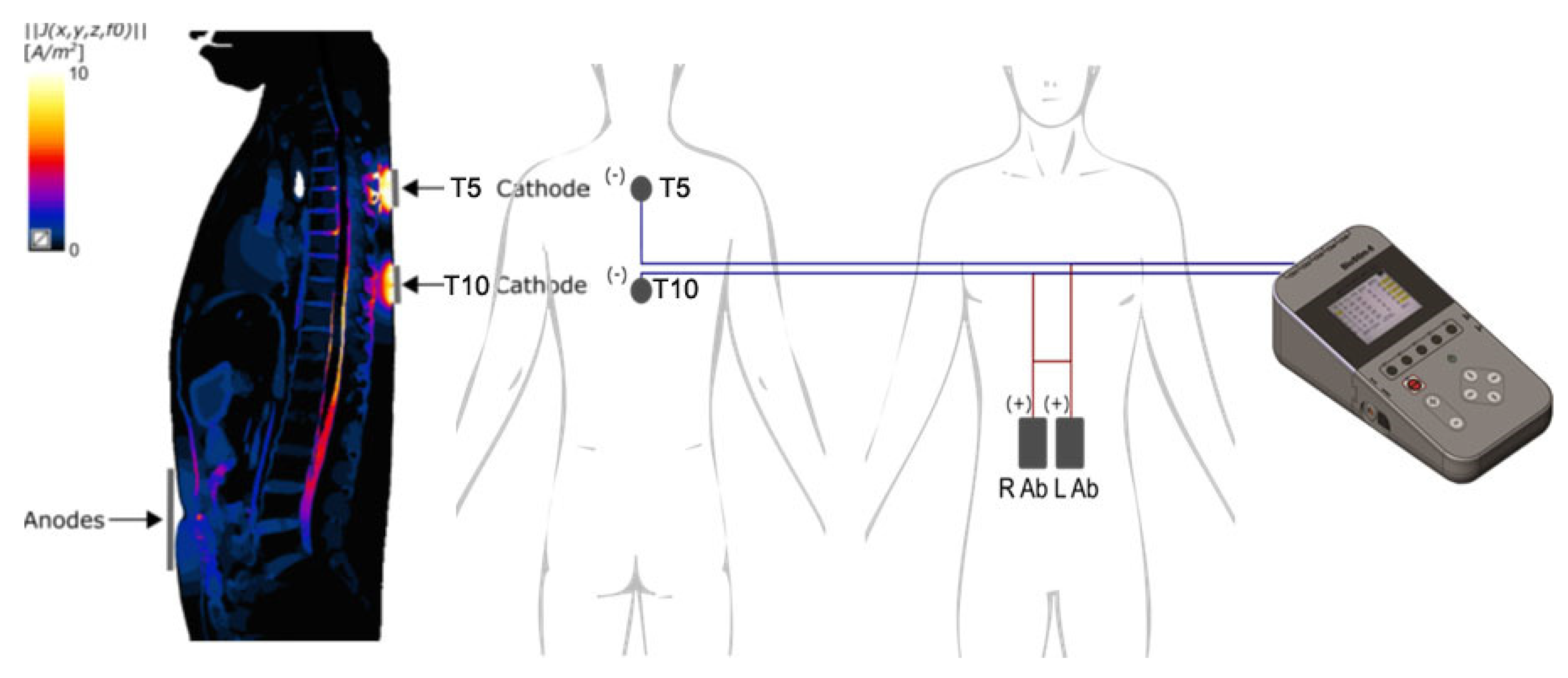 Preprints 139084 g001
