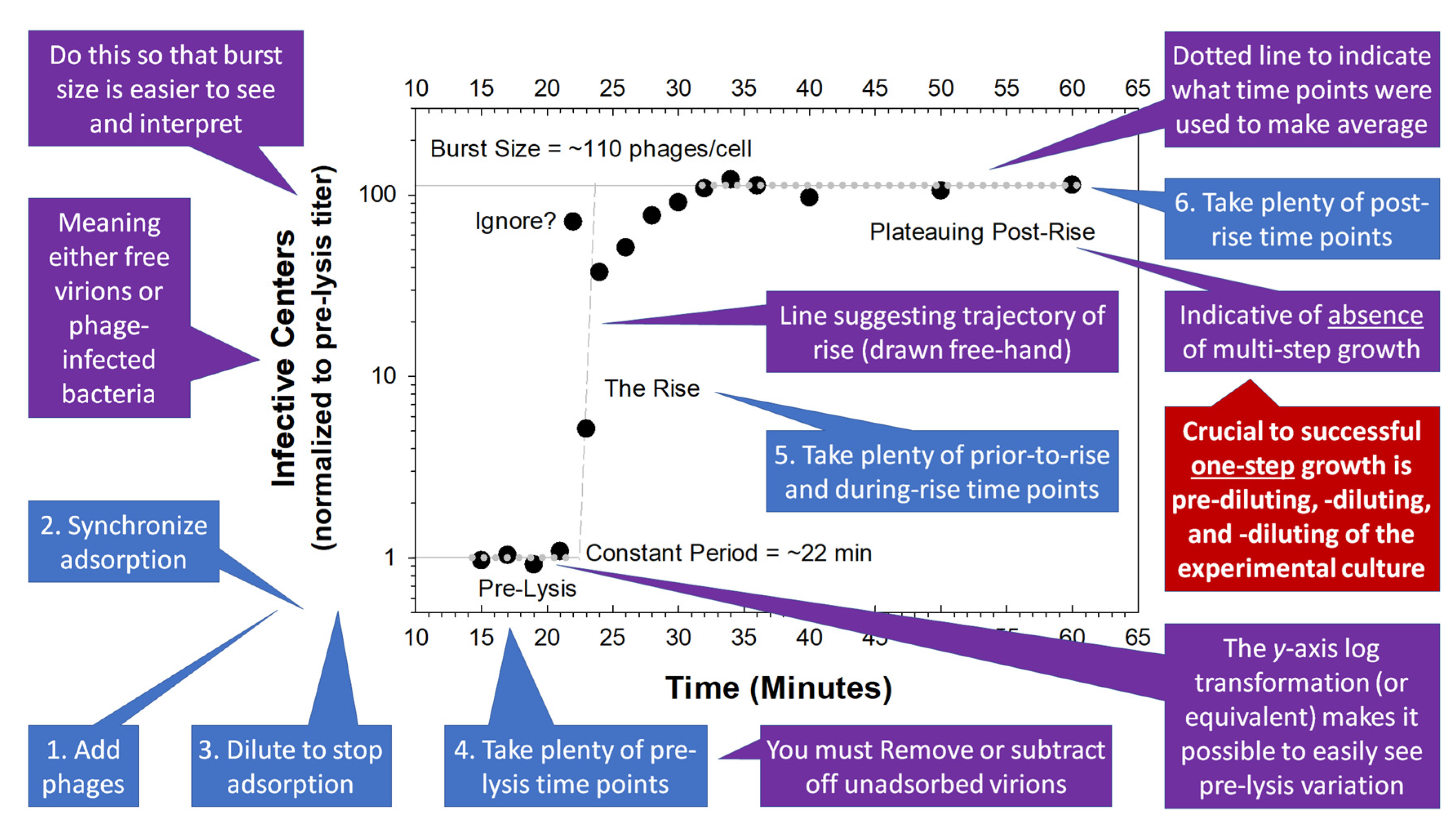 Preprints 170516 g002