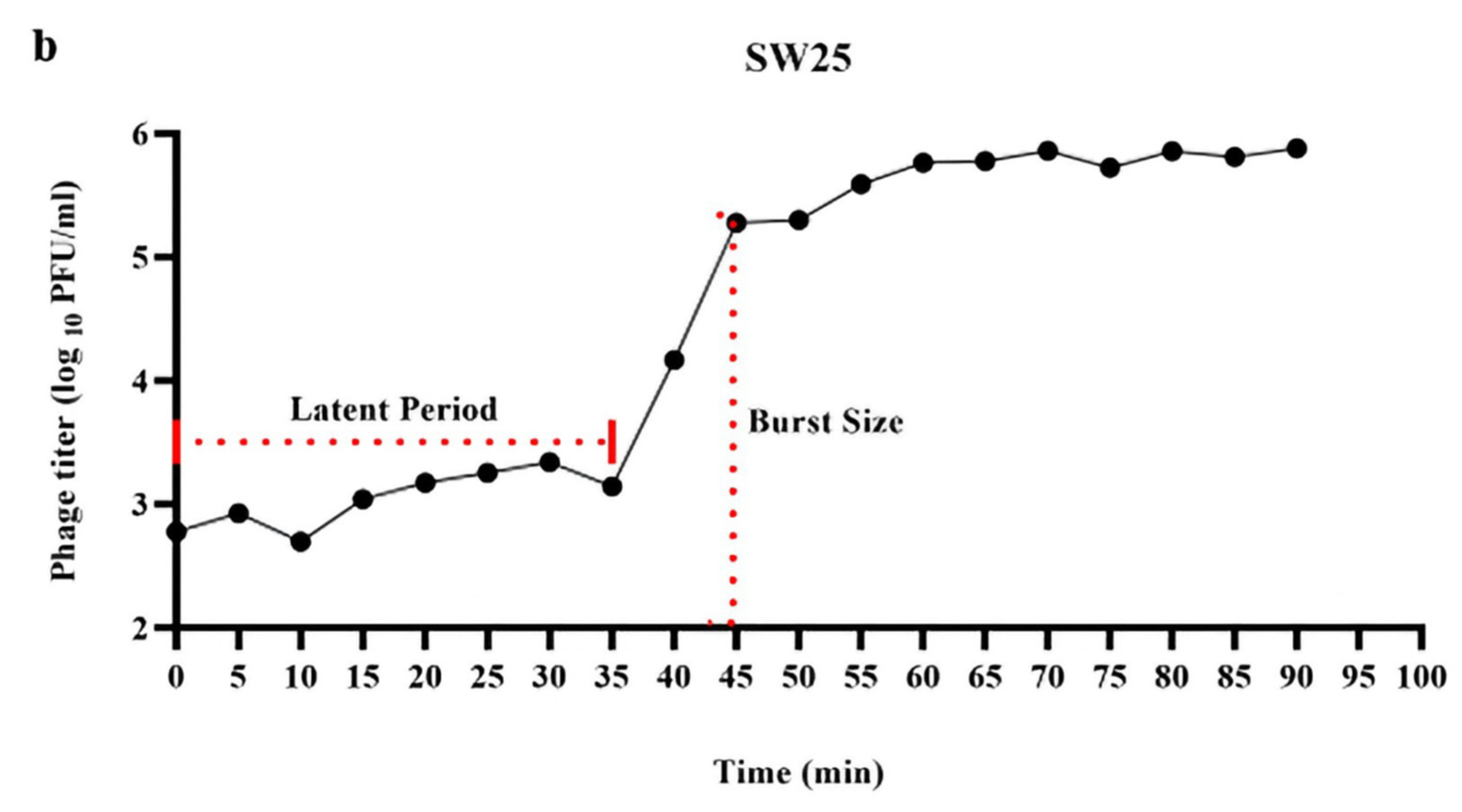 Preprints 170516 g0a19