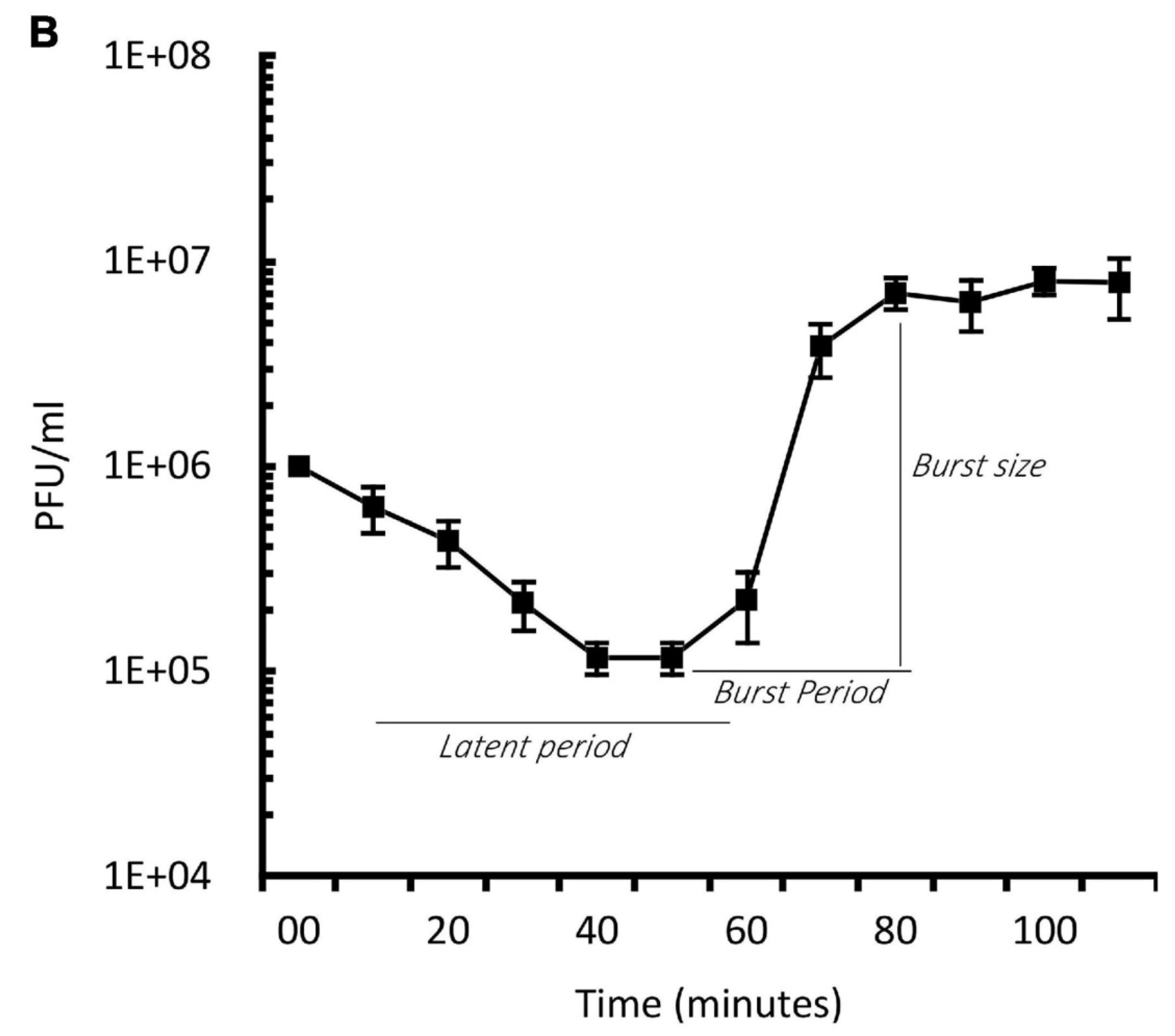 Preprints 170516 g0a2