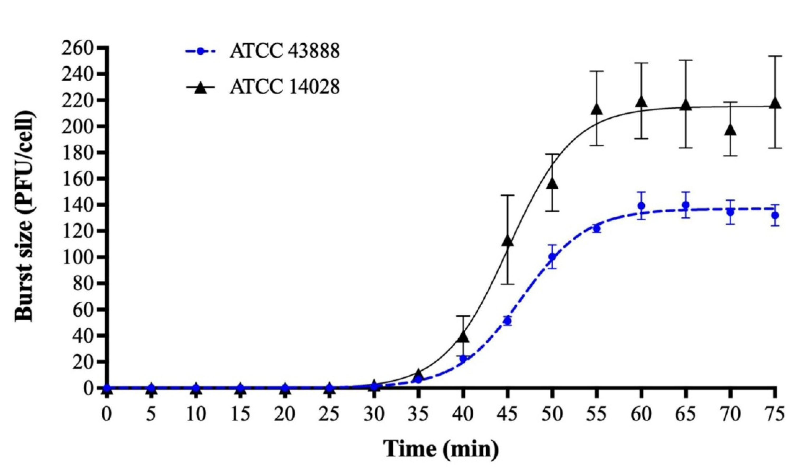 Preprints 170516 g0a6