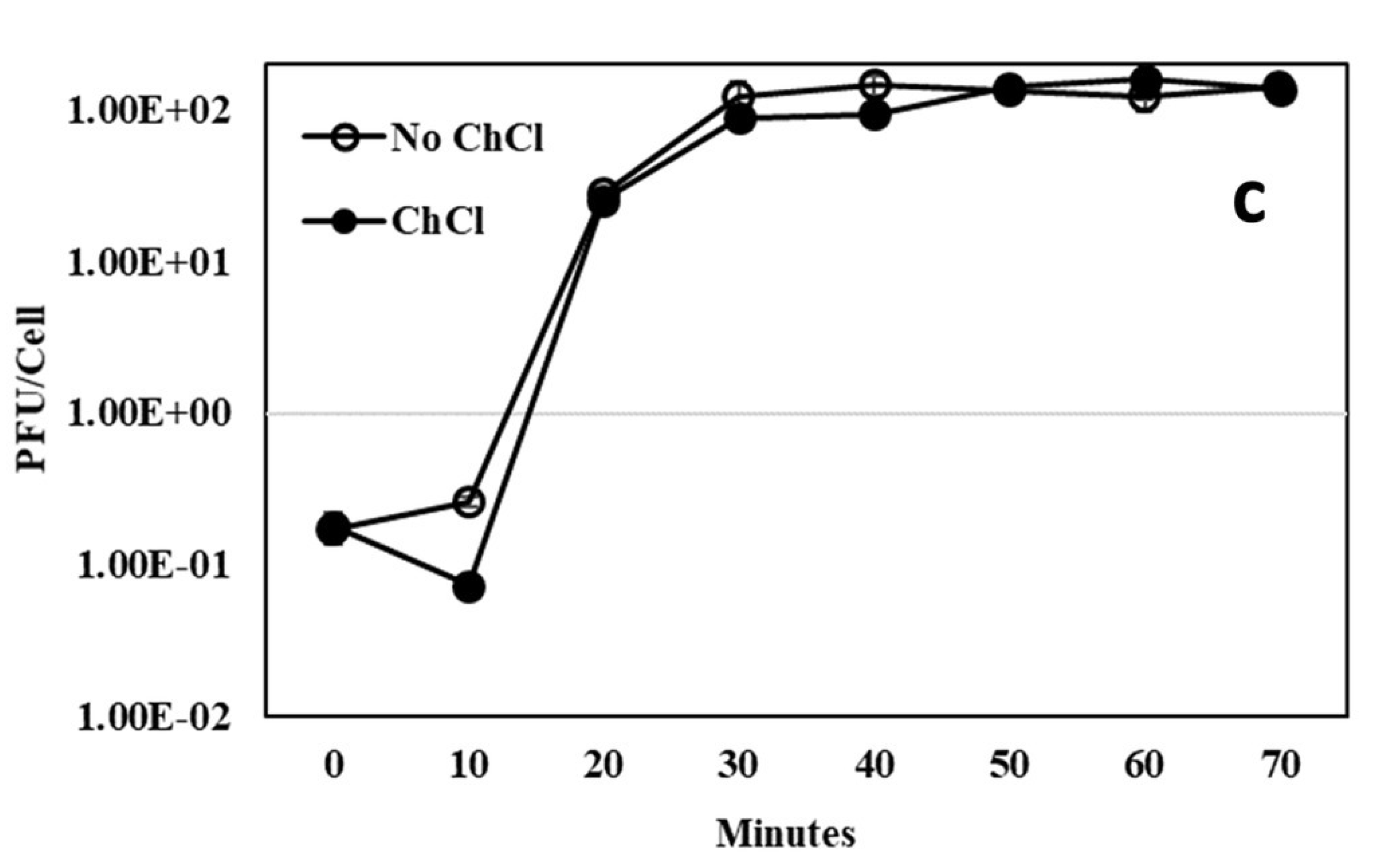 Preprints 170516 g0a8