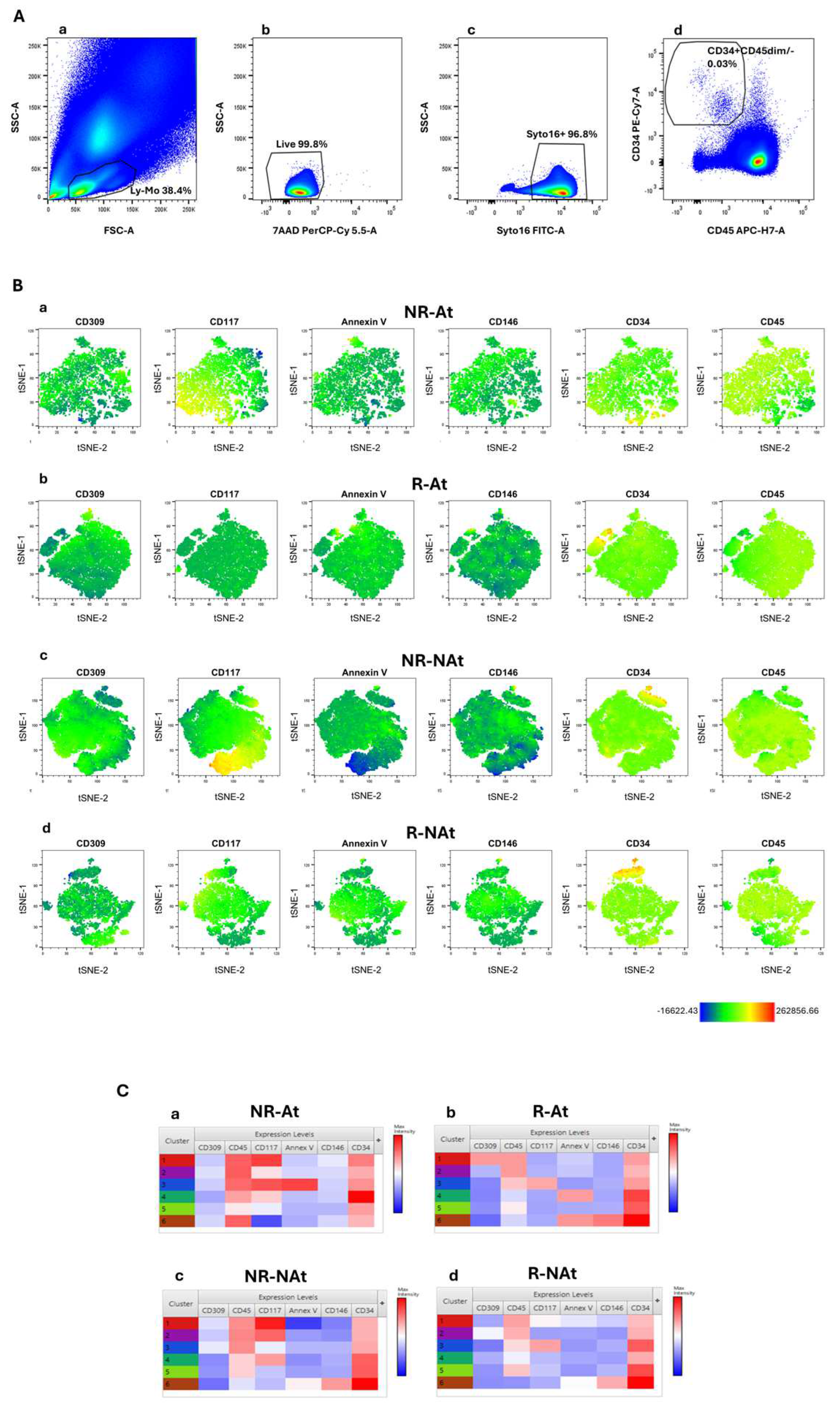 Preprints 145740 g001