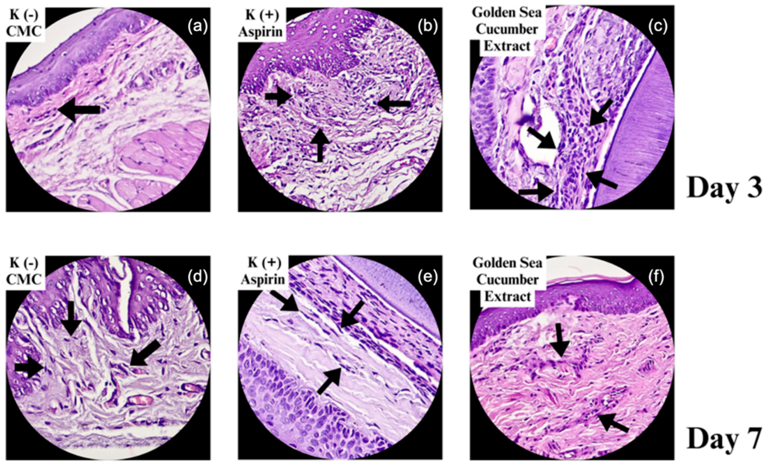 Preprints 172962 g002