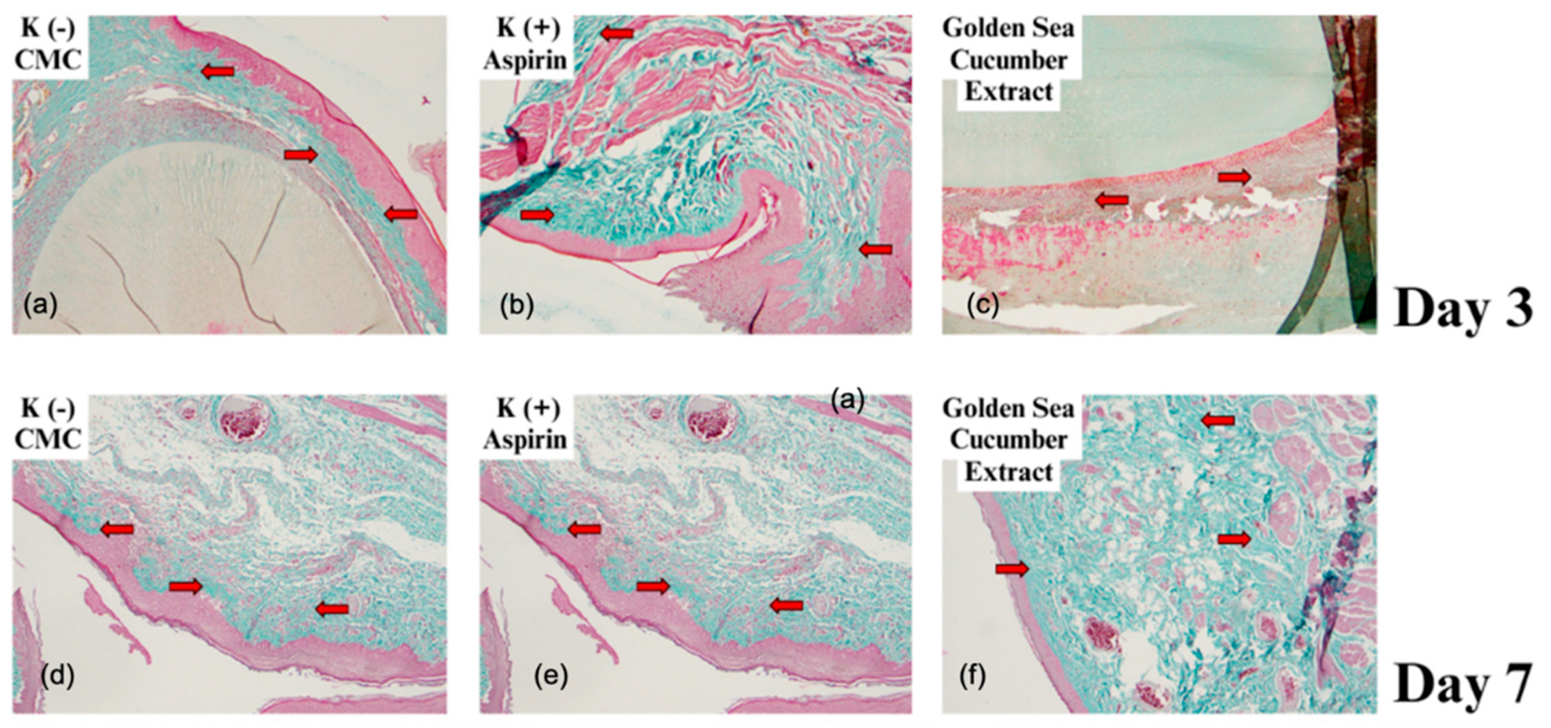 Preprints 172962 g003